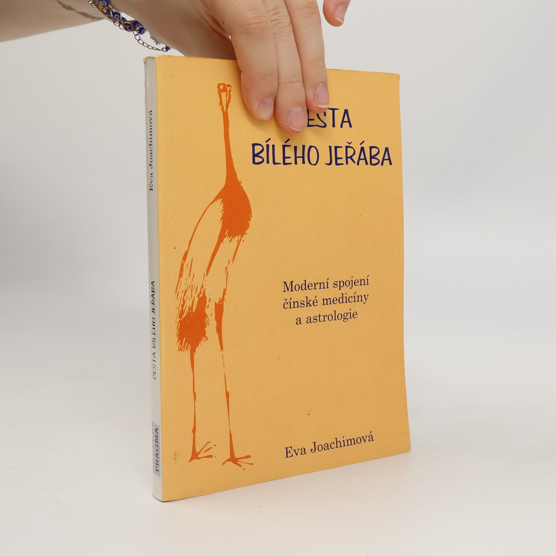 Cesta bílého jeřába