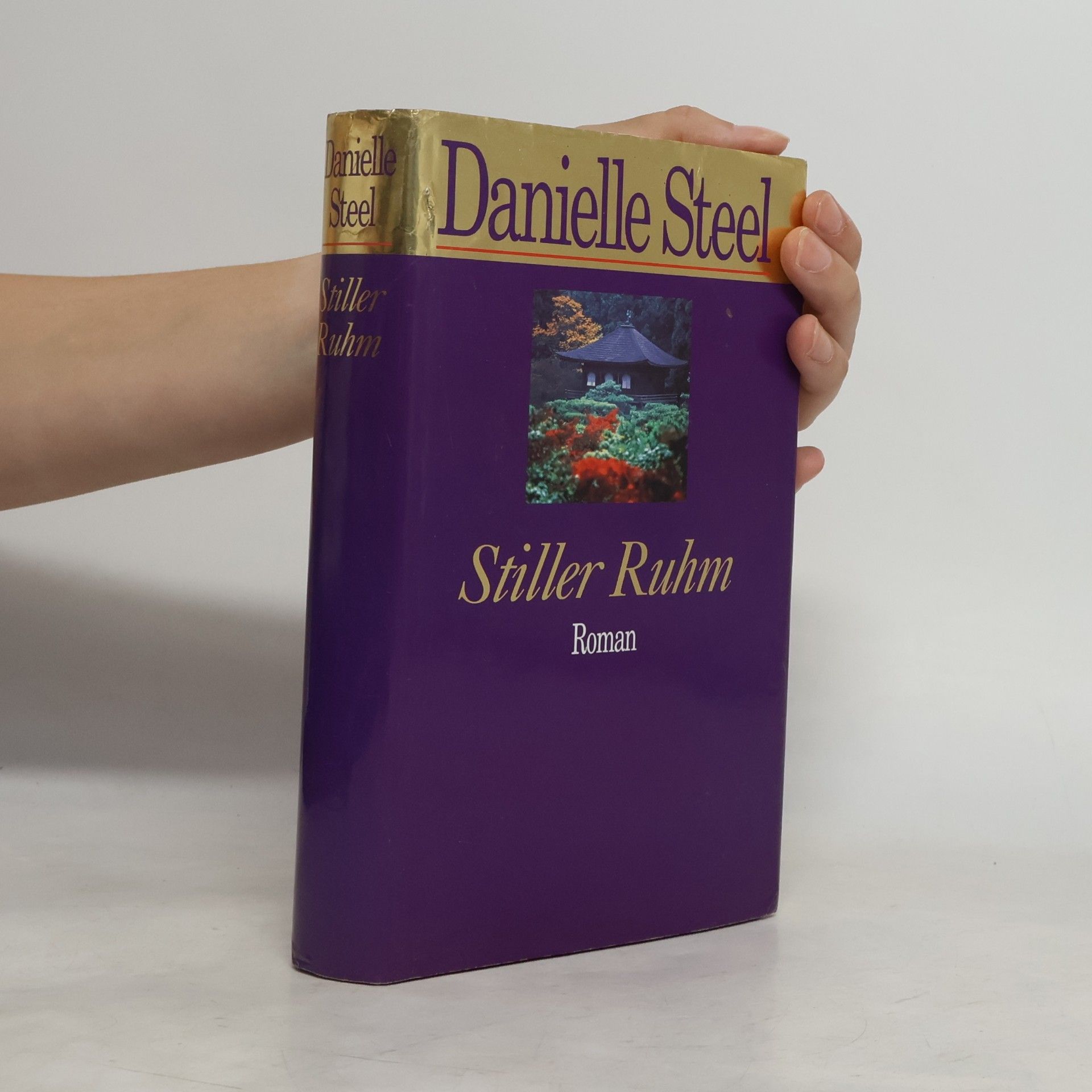 Danielle Steel Stiller Ruhm