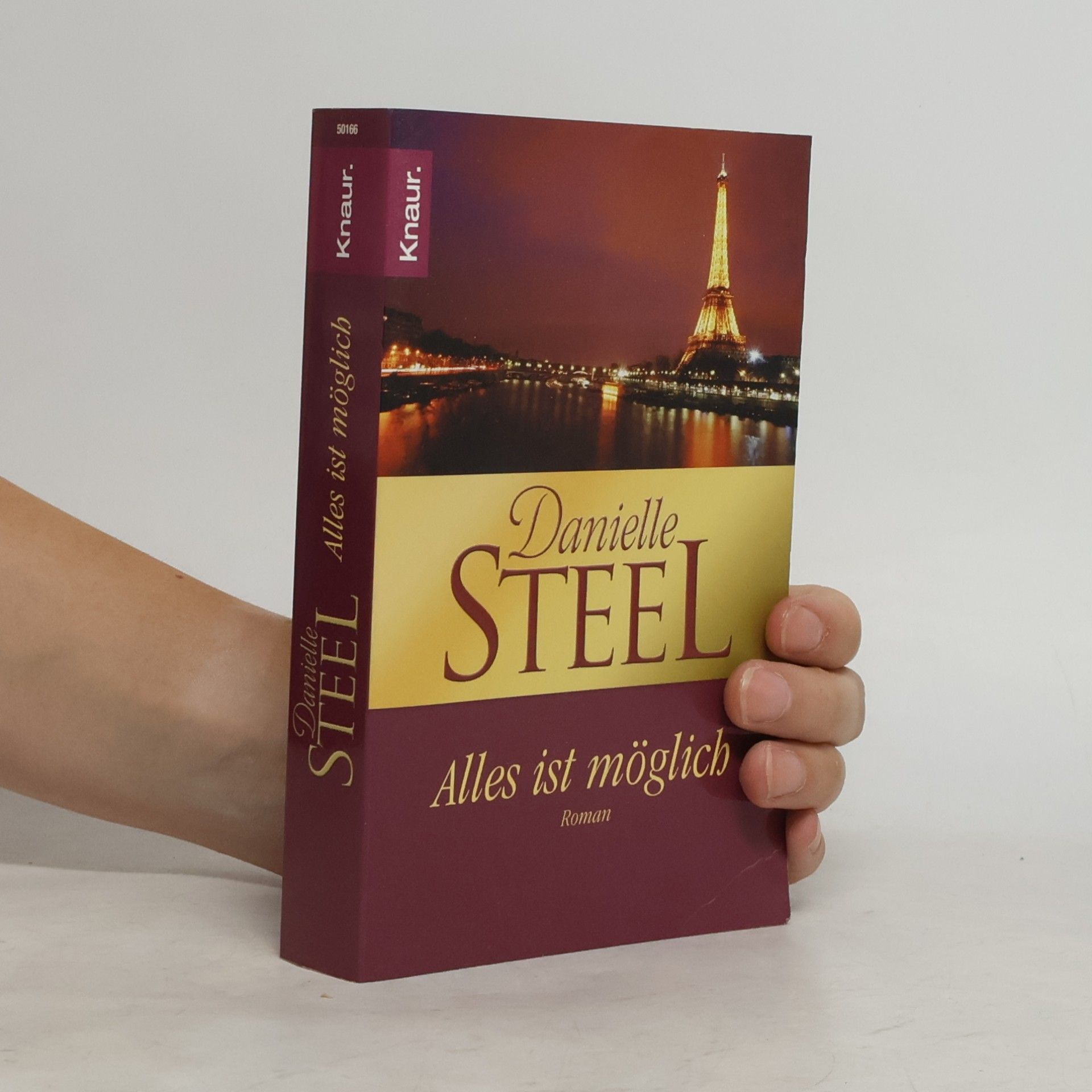 Danielle Steel Alles ist Möglich