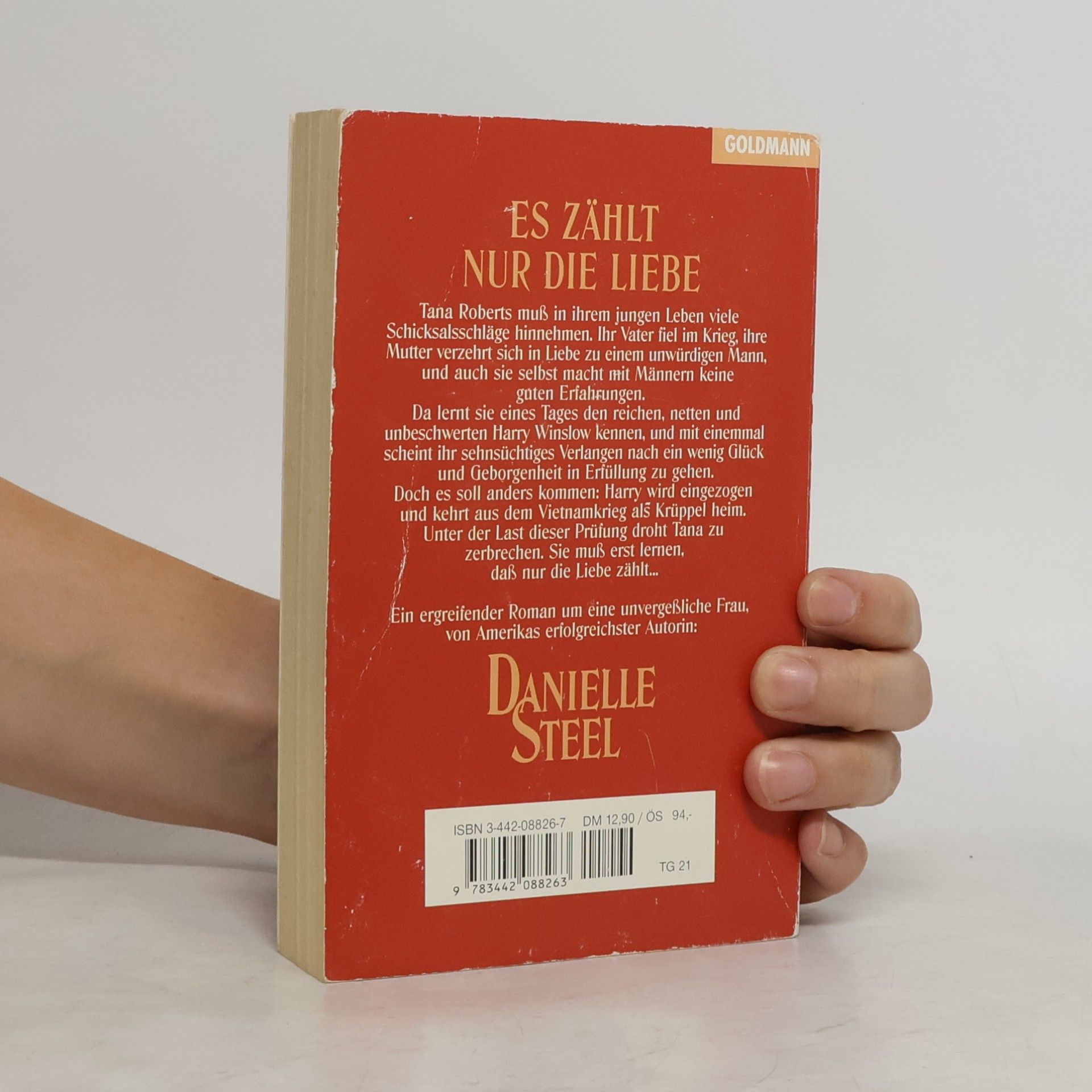 Danielle Steelová Es zählt nur die Liebe