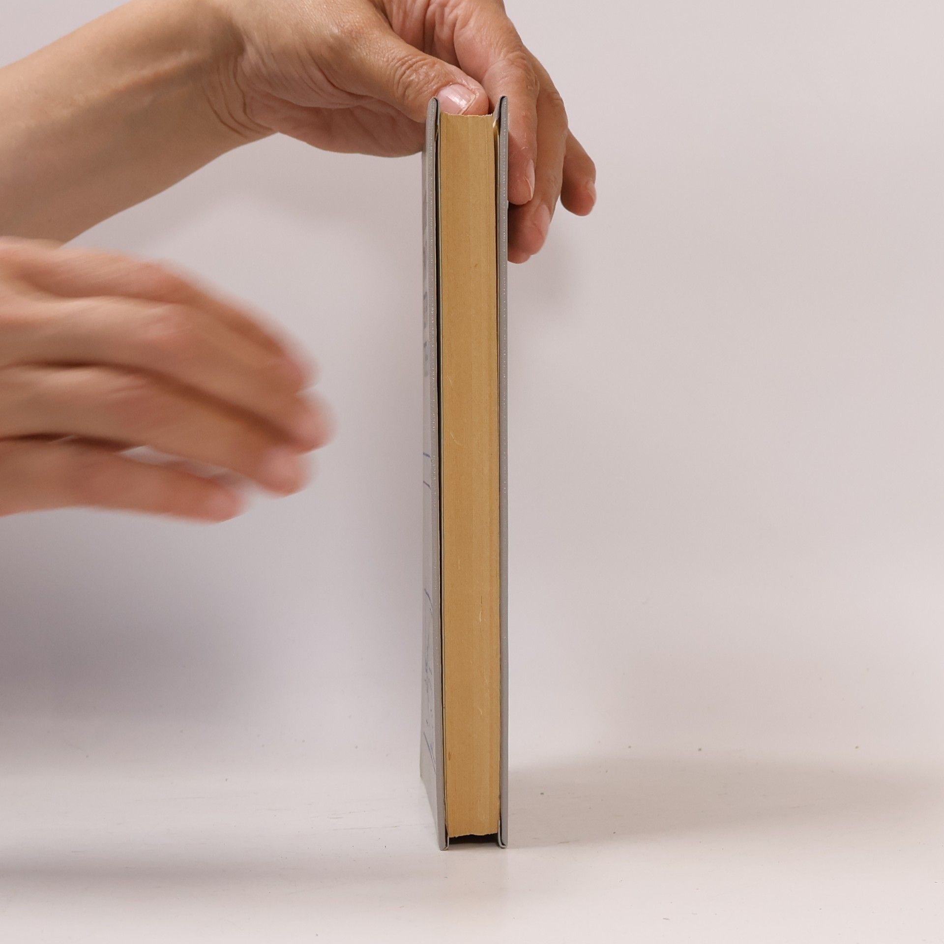 V.V. Pomerantsev Основы практической теории горения