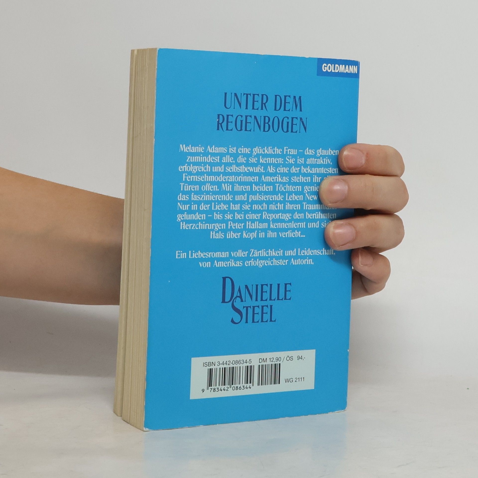 Danielle Steel Unter dem Regenbogen