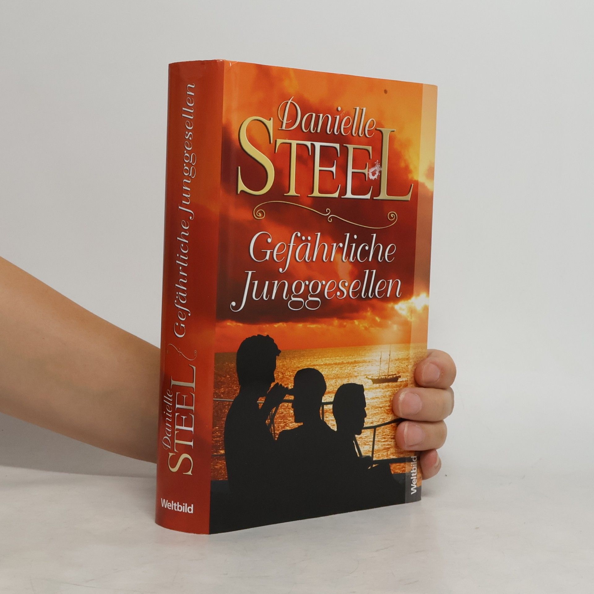 Danielle Steel Gefährliche Junggesellen