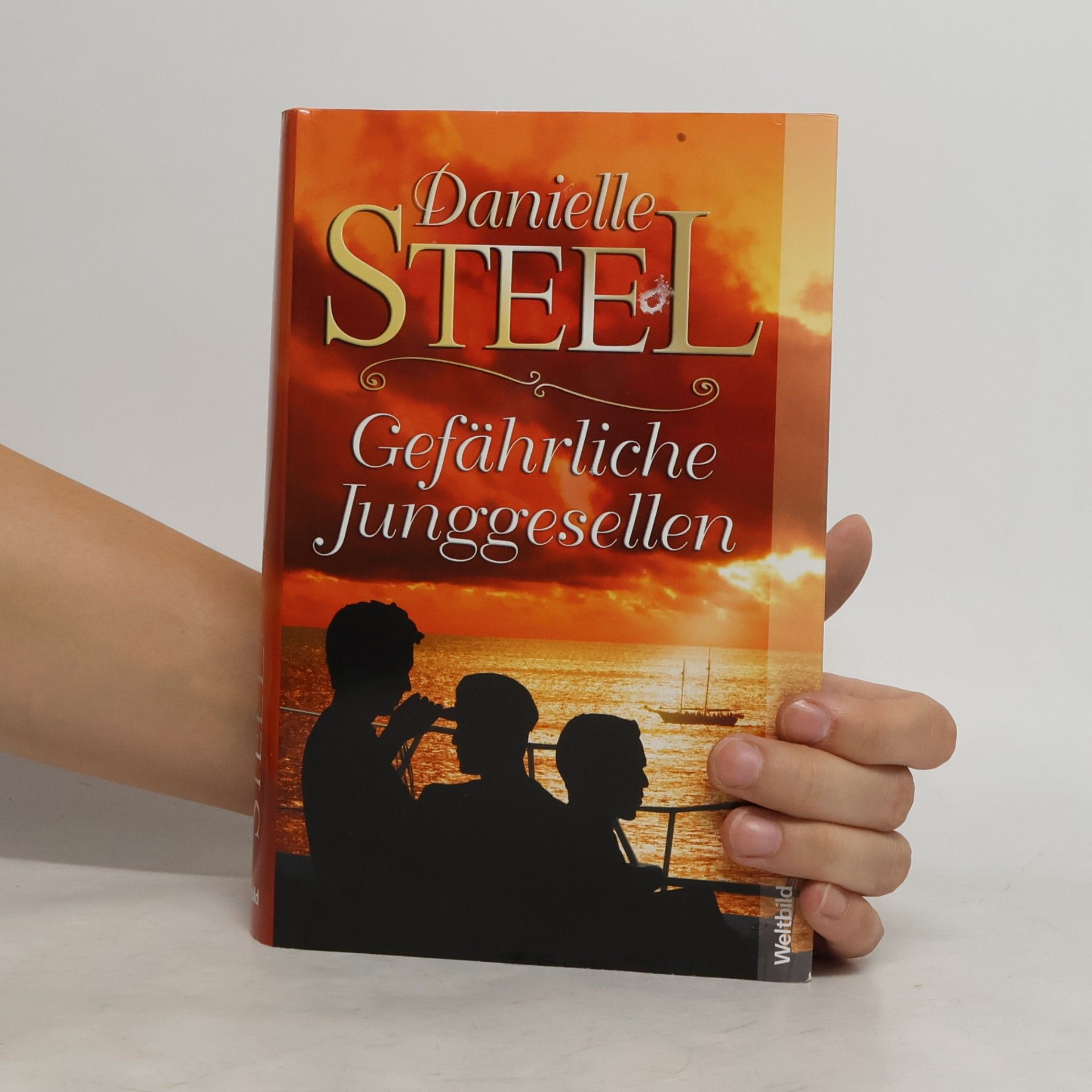 Danielle Steel Gefährliche Junggesellen