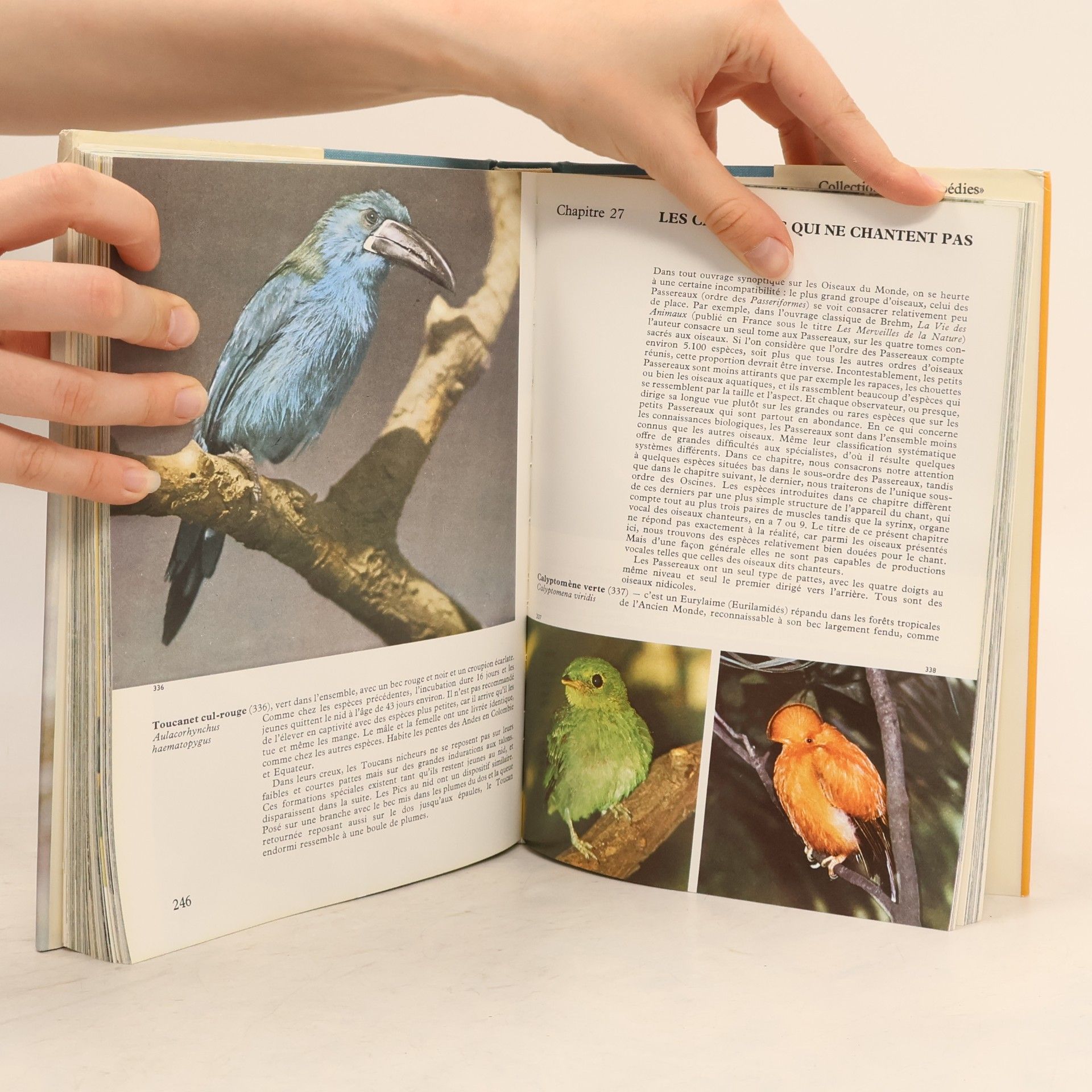 Jan Hanzák Encyclopédie des oiseaux