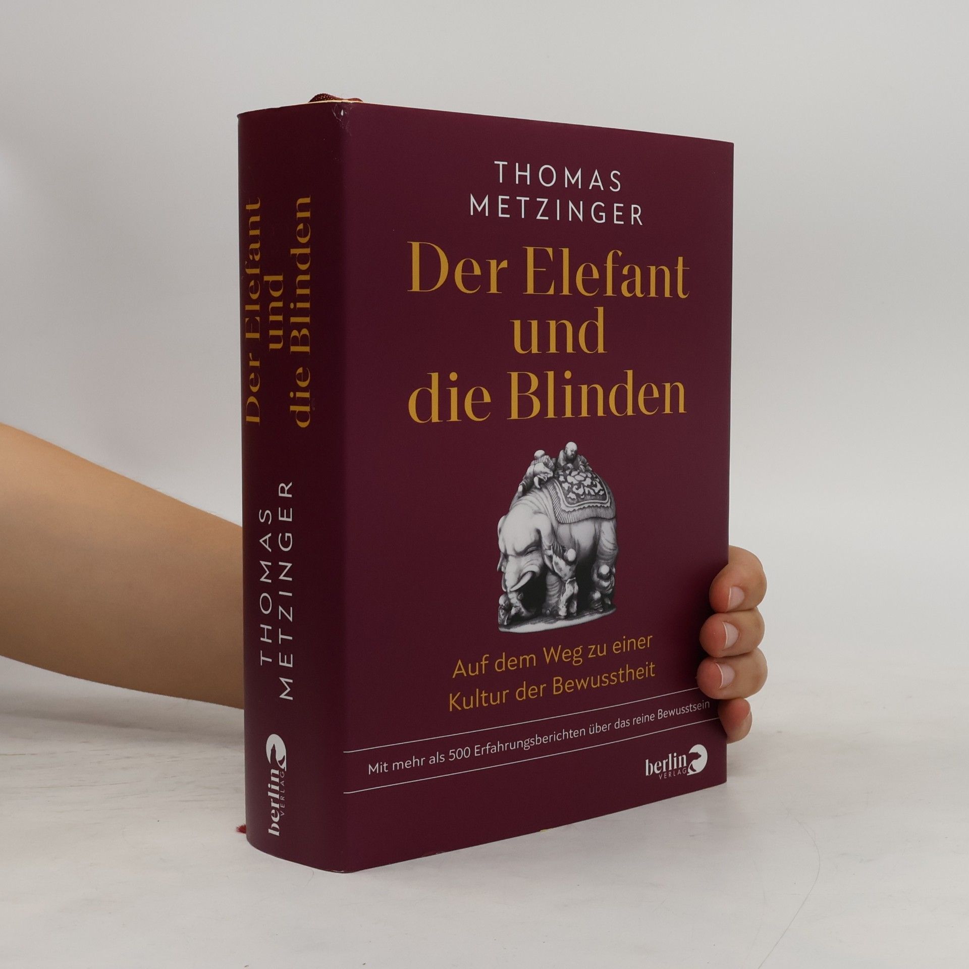 Der Elefant und die Blinden