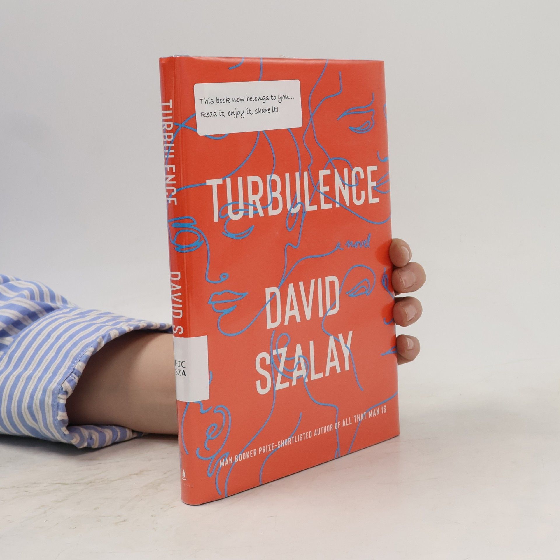 David Szalay Turbulence