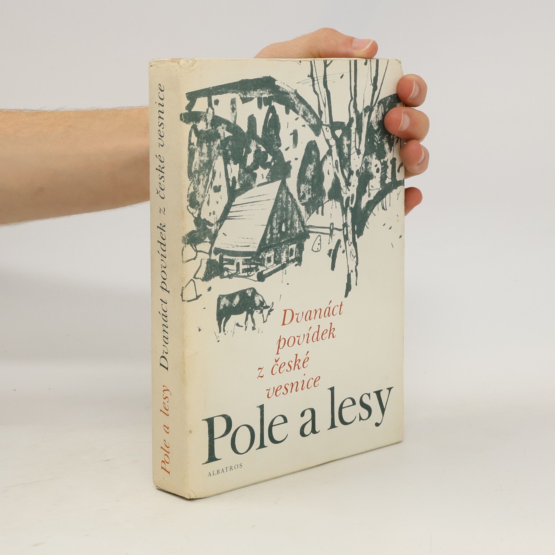 Hana Rambousková Pole a lesy