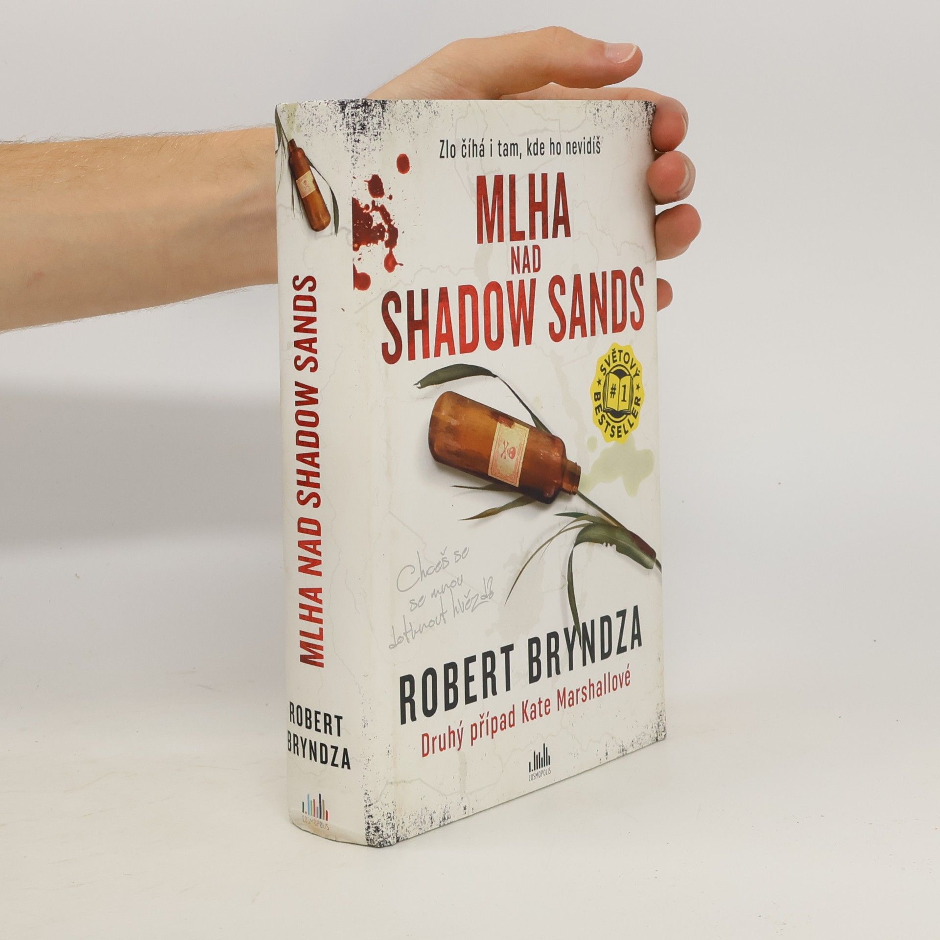 Robert Bryndza Mlha nad Shadow Sands