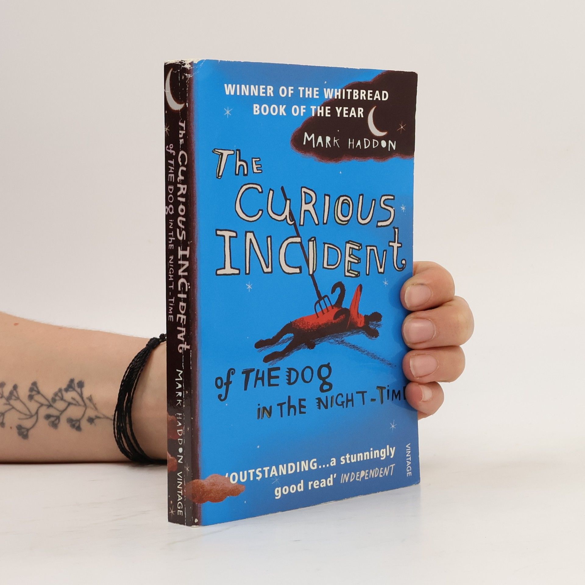 Mark Haddon The Curious Incident of The Dog in The Night-Time