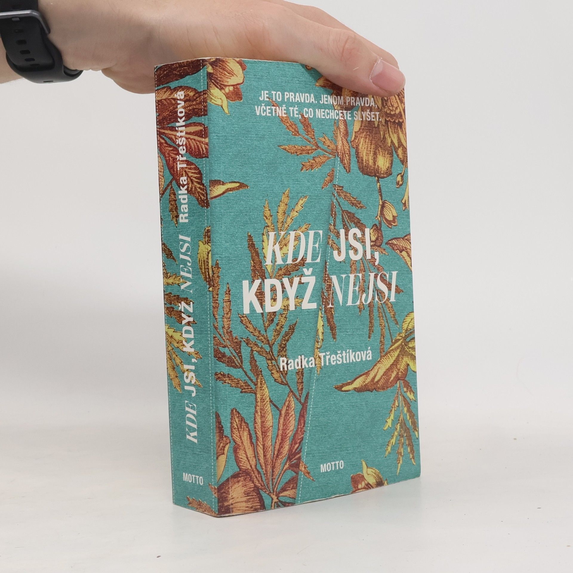 Radka Třeštíková Kde jsi, když nejsi
