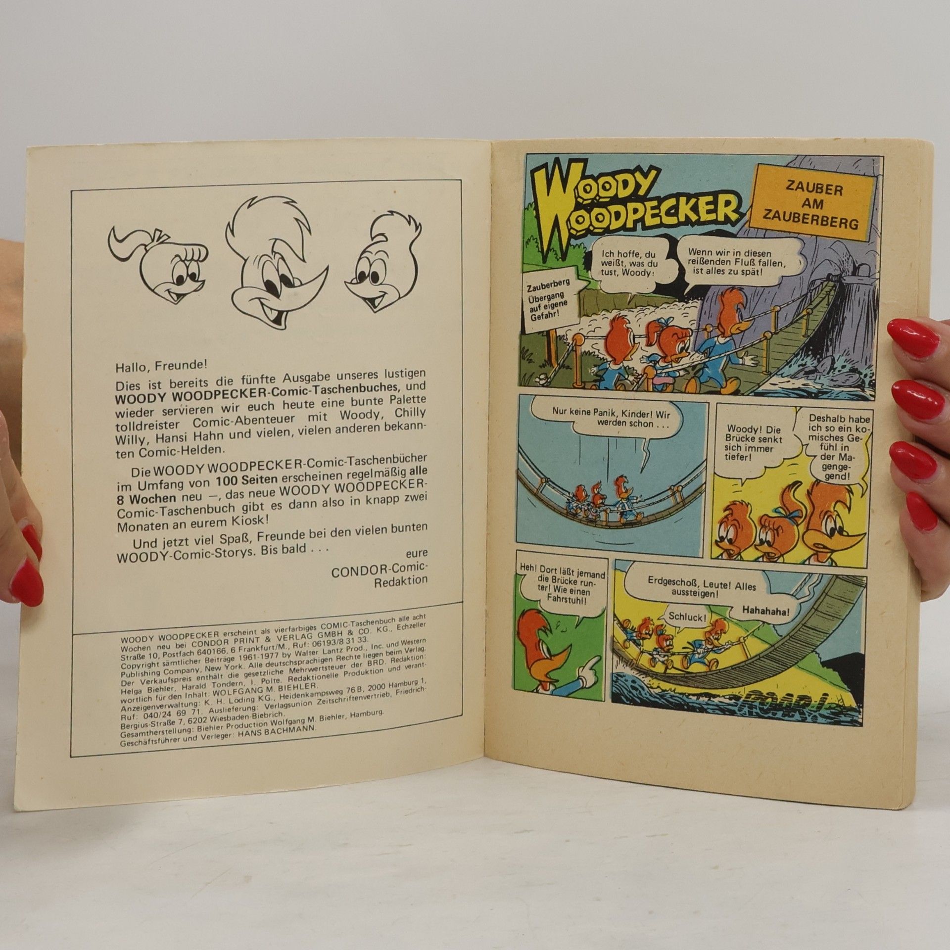 Various authors Woody Woodpecker 5
