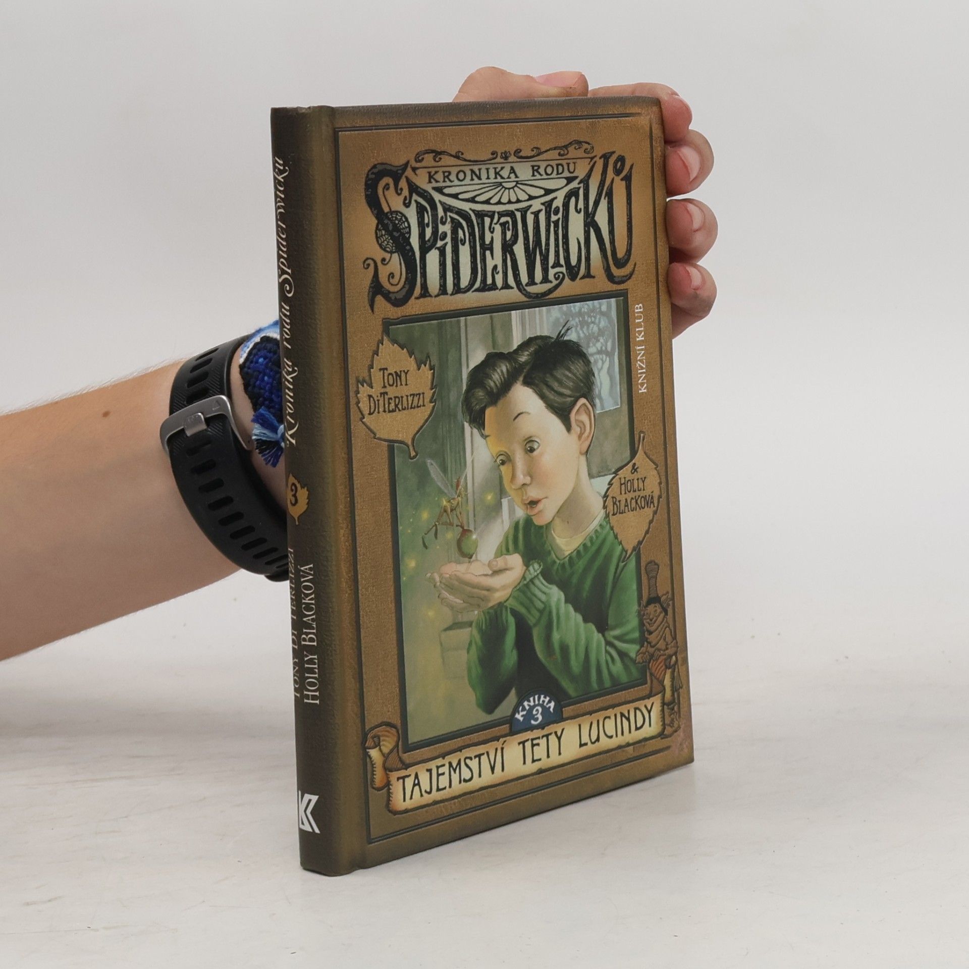 Tony DiTerlizzi Kronika rodu Spiderwicků. Kniha 3, Tajemství tety Lucindy