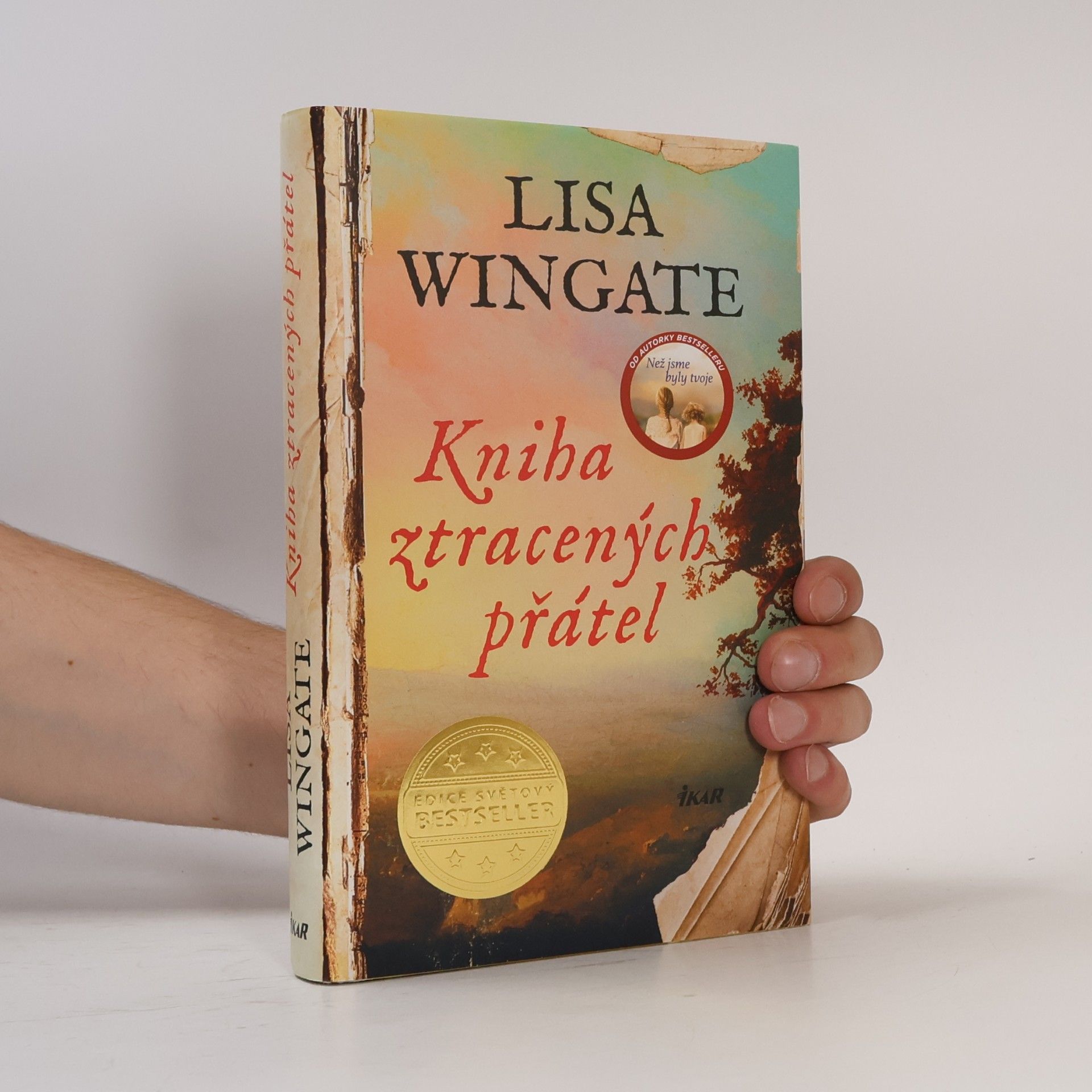 Lisa Wingate Kniha ztracených přátel