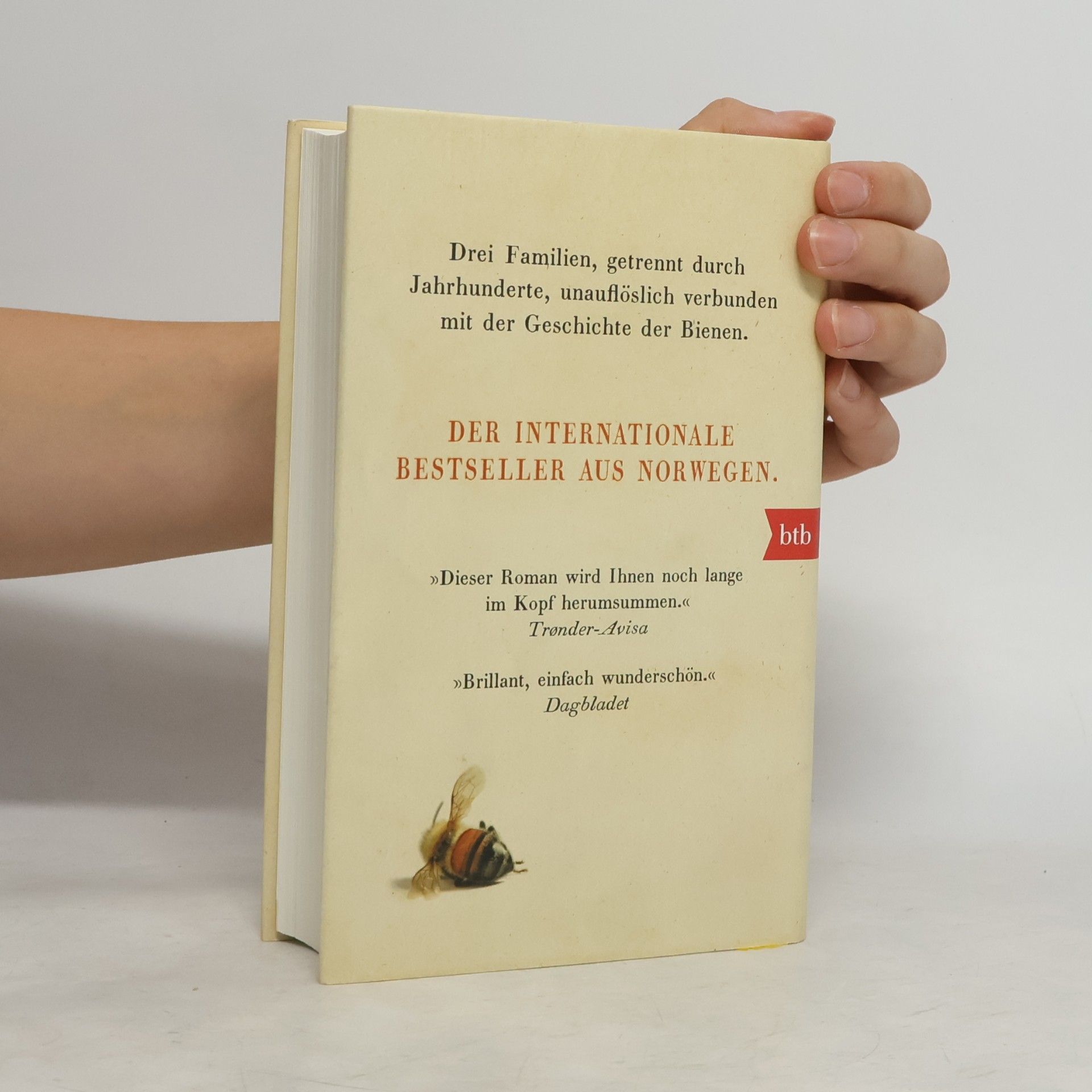 Maja Lunde Die Geschichte der Bienen