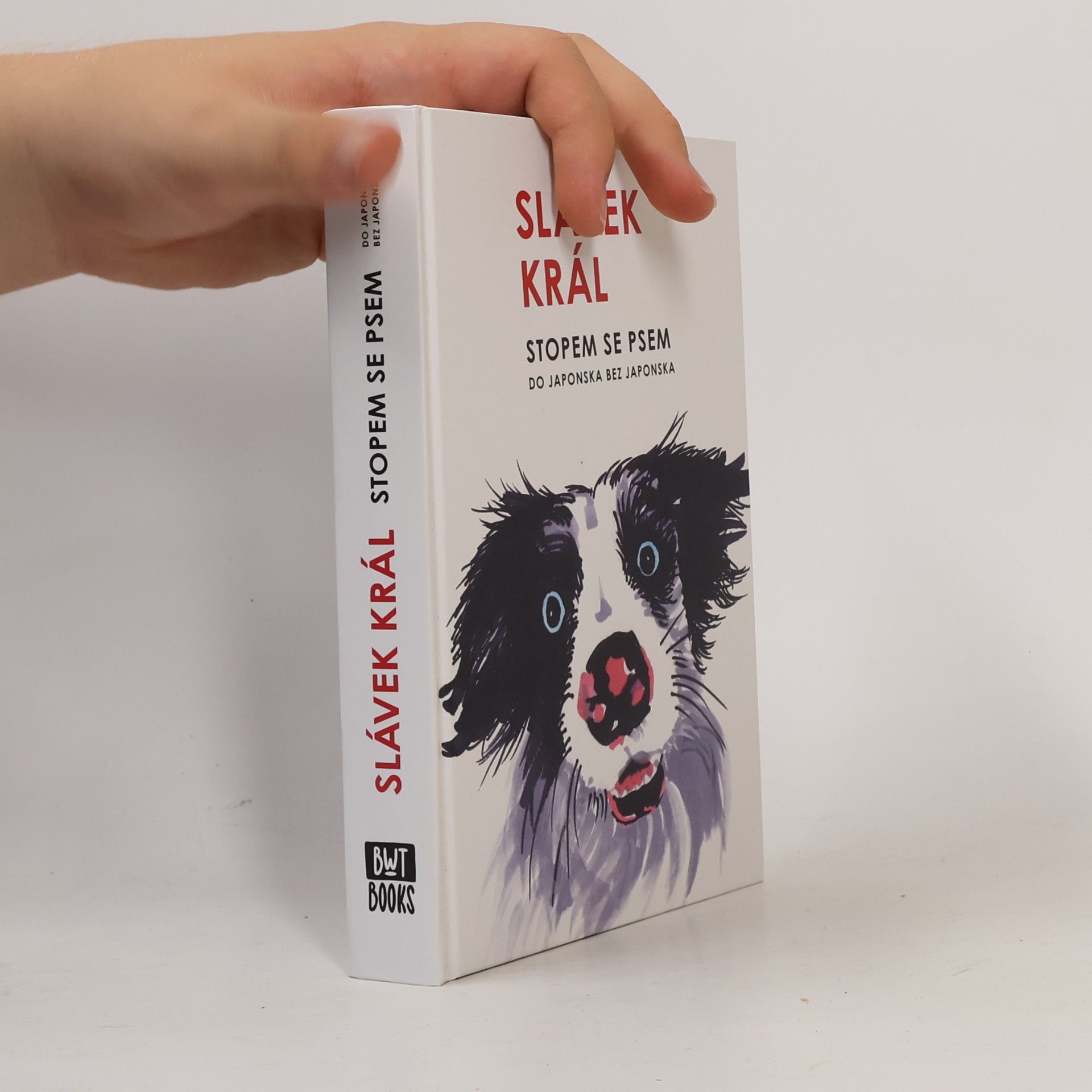 Slávek Král Stopem se psem : do Japonska bez Japonska
