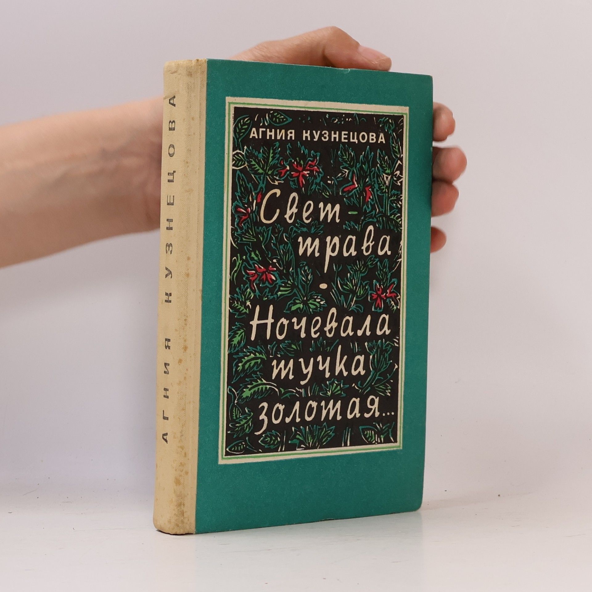 Свет-трава. Ночевала тучка золотая