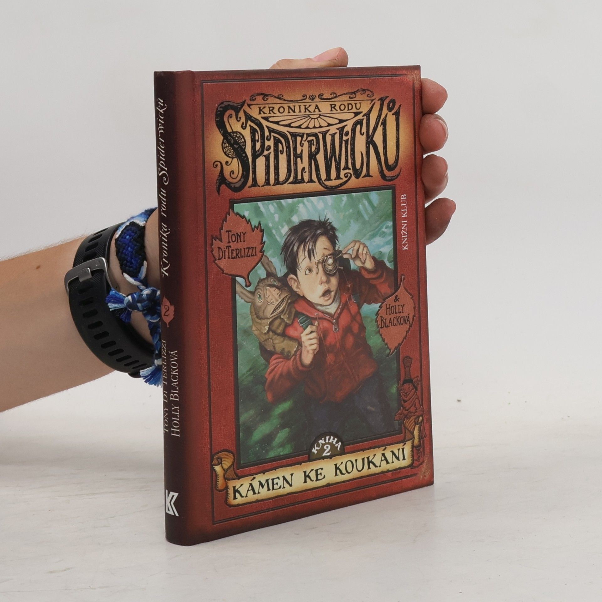 Tony Di Terlizzi Kronika rodu Spiderwicků. Kniha 2., Kámen ke koukání