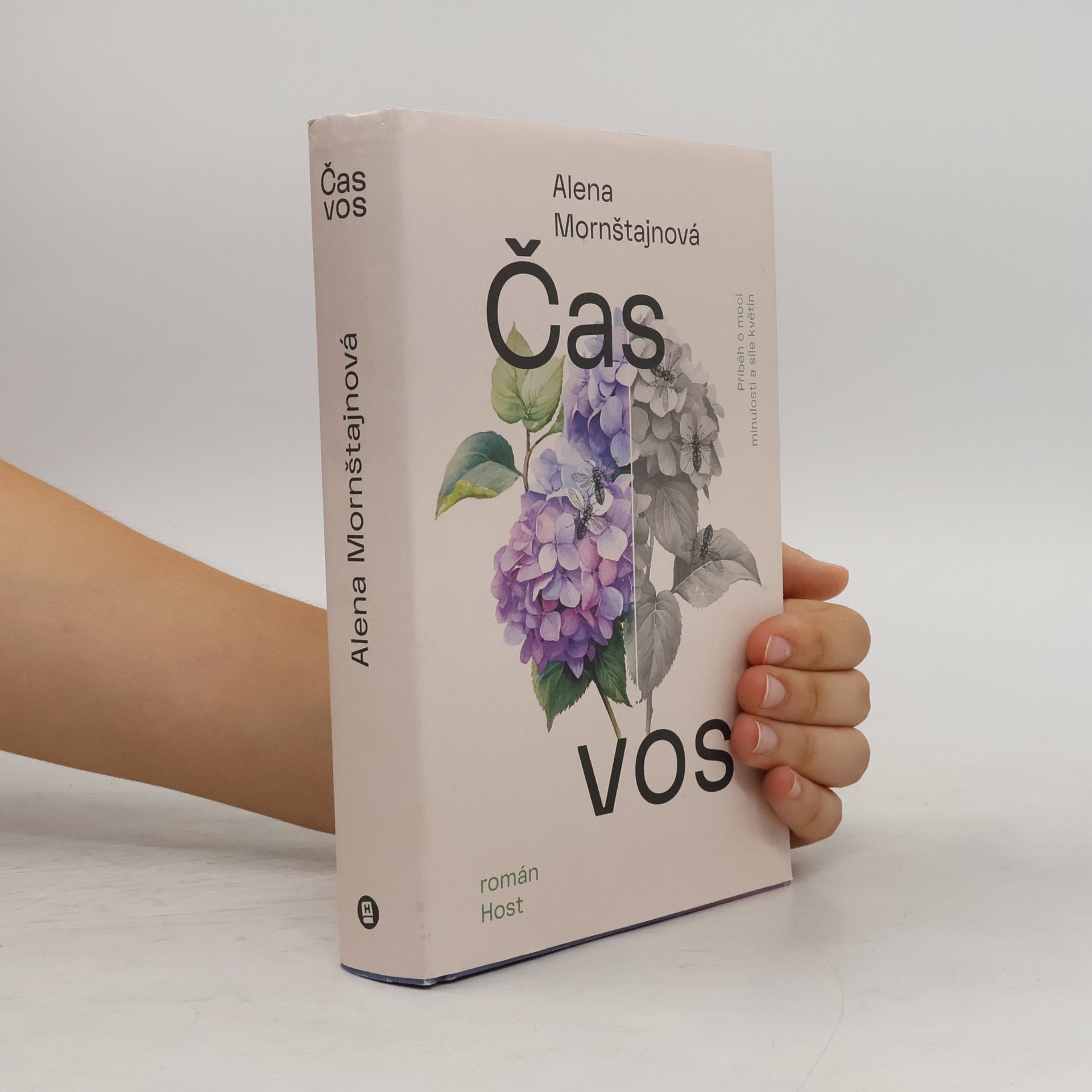Alena Mornštajnová Čas vos