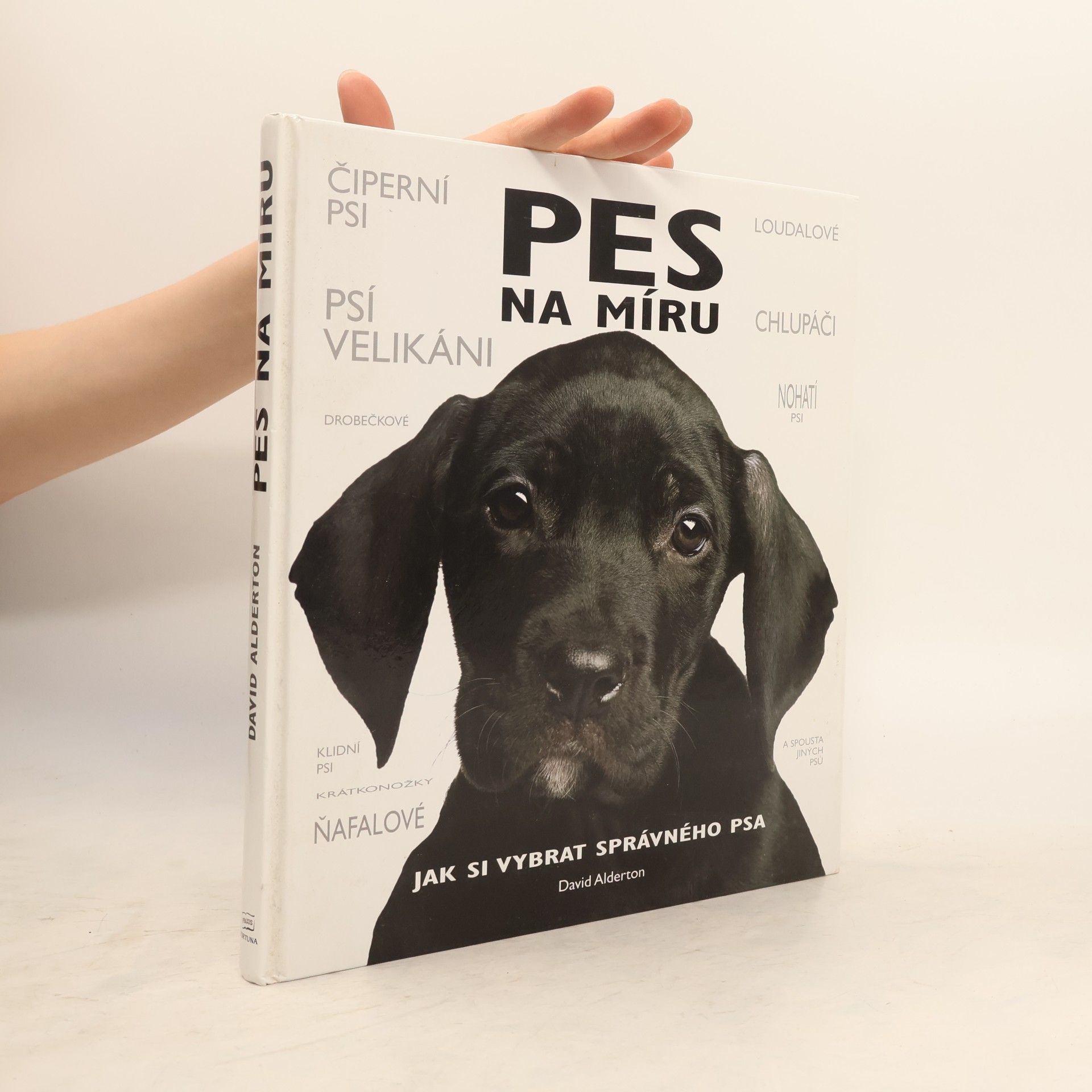 David Alderton Pes na míru. Jak si vybrat správného psa.