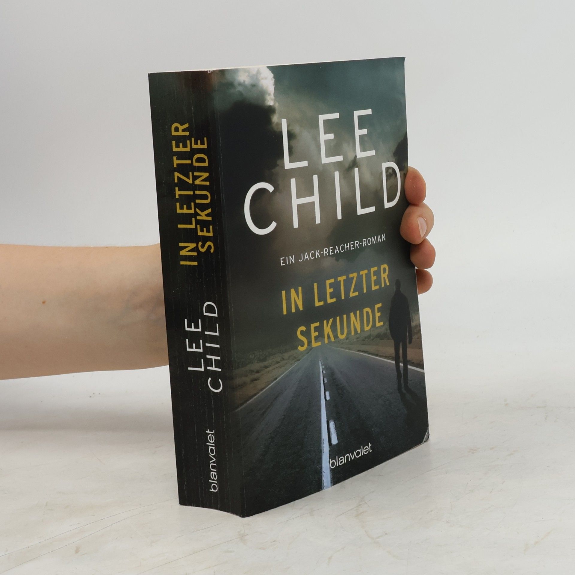 Lee Child In letzter sekunde