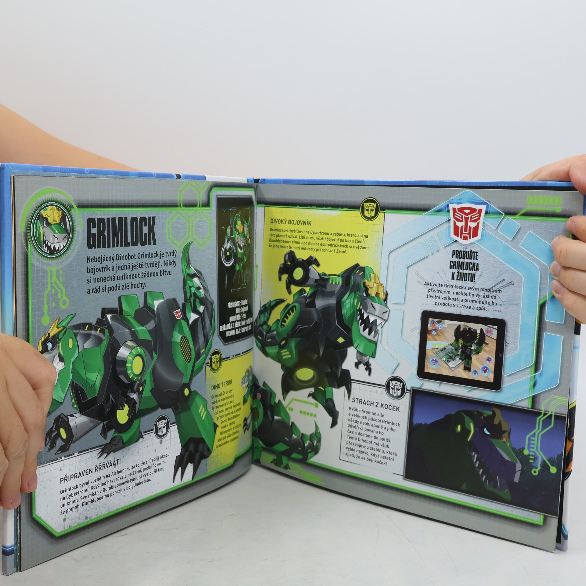 Caroline Rowlands Transformers - Robots in Disguise (Kde Crown City ožívá)