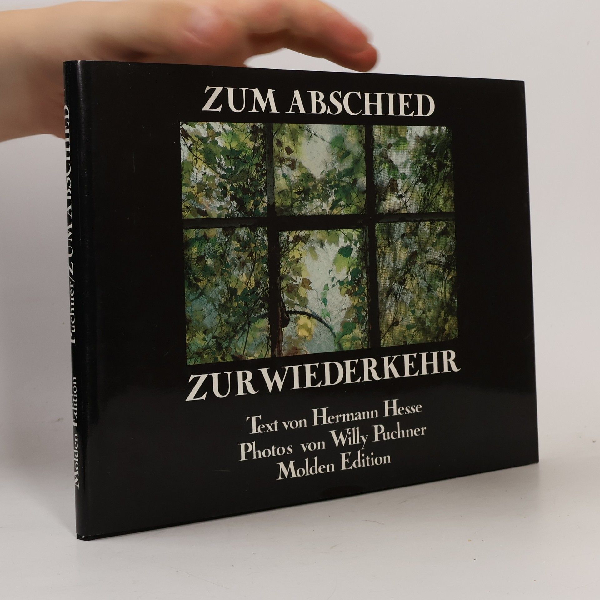 Hermann Hesse Stupně - výbor z veršů - hesse hermann