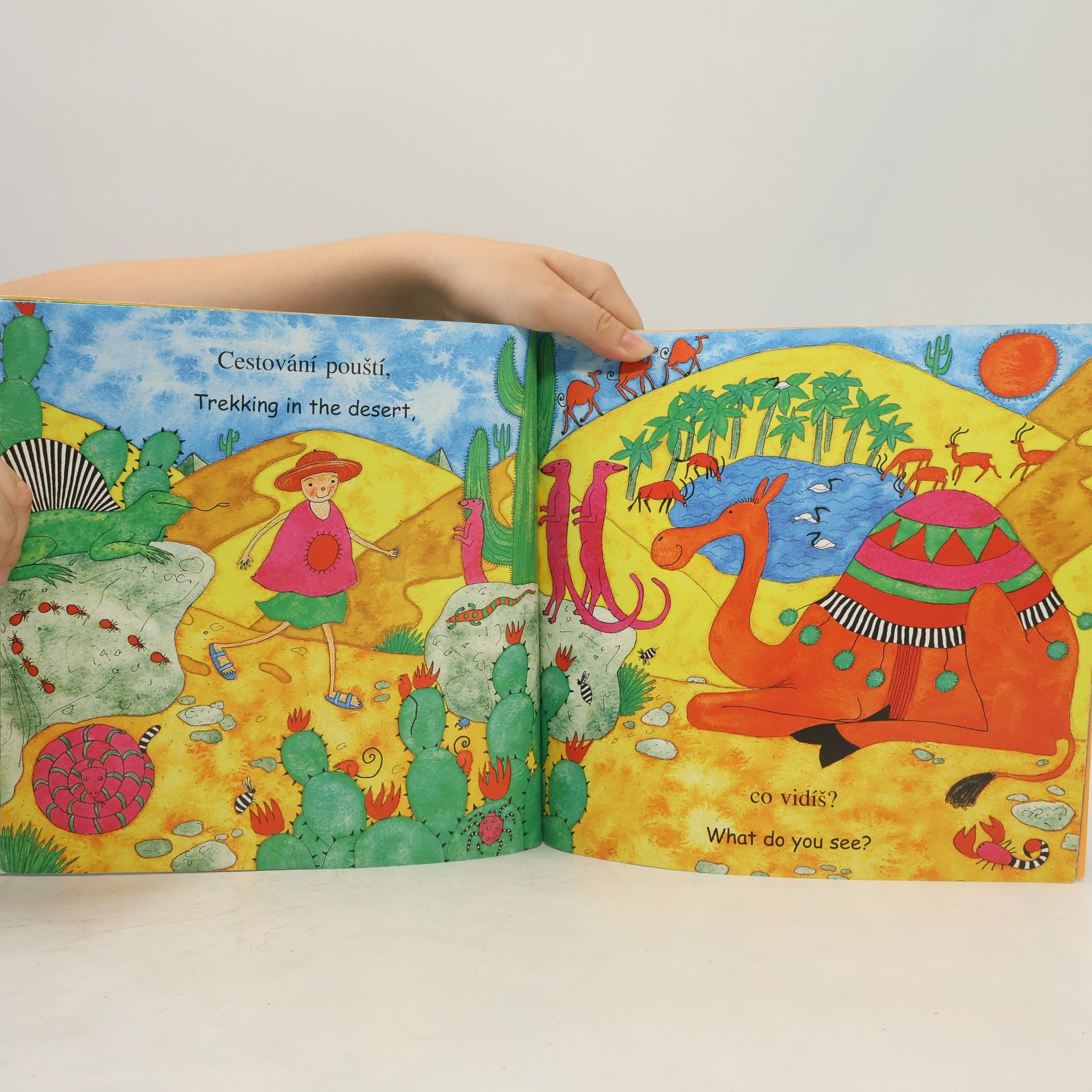 Debbie Harter Procházka džunglí: Walking through the Jungle