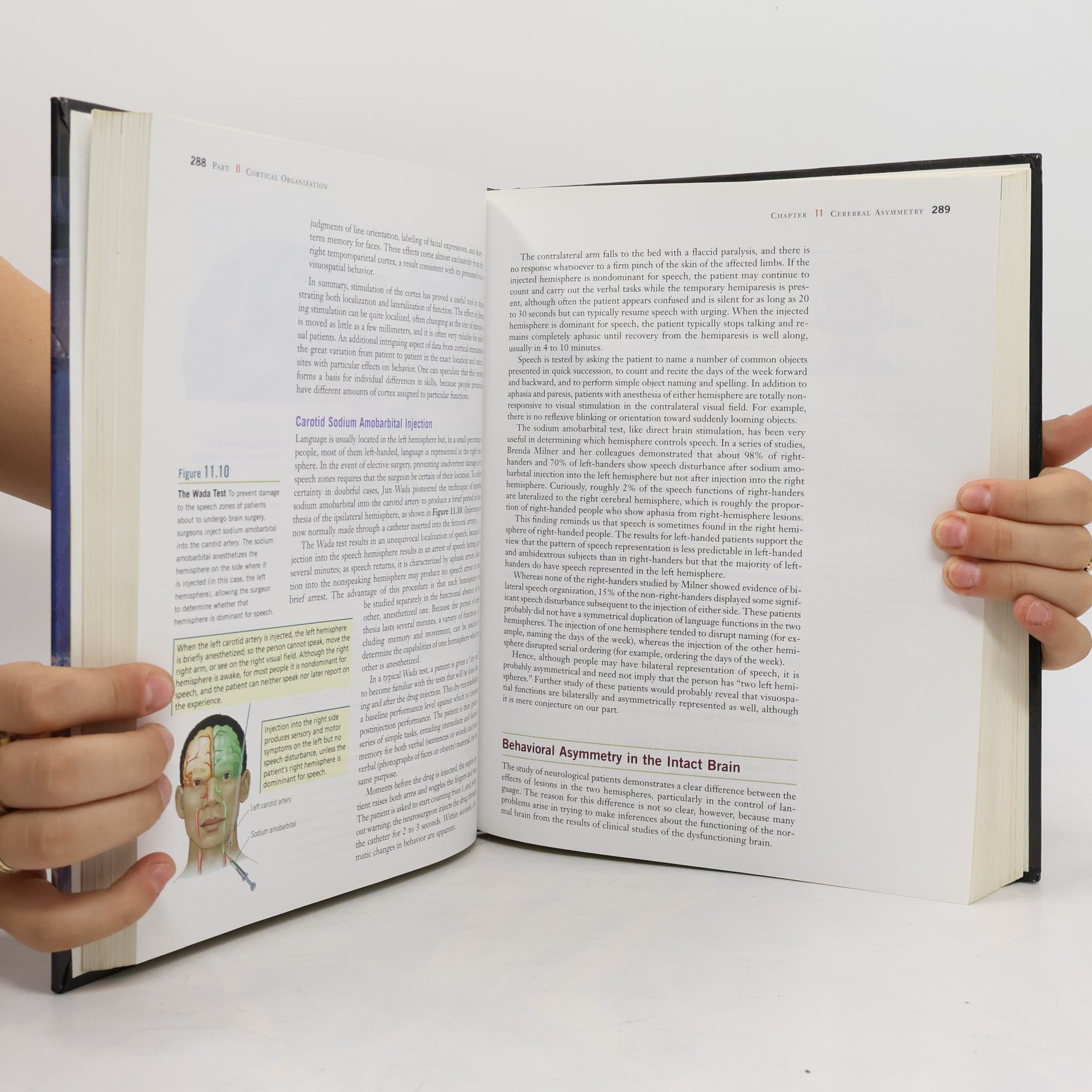 Bryan Kolb Fundamentals of Human Neuropsychology - Sixth Edition