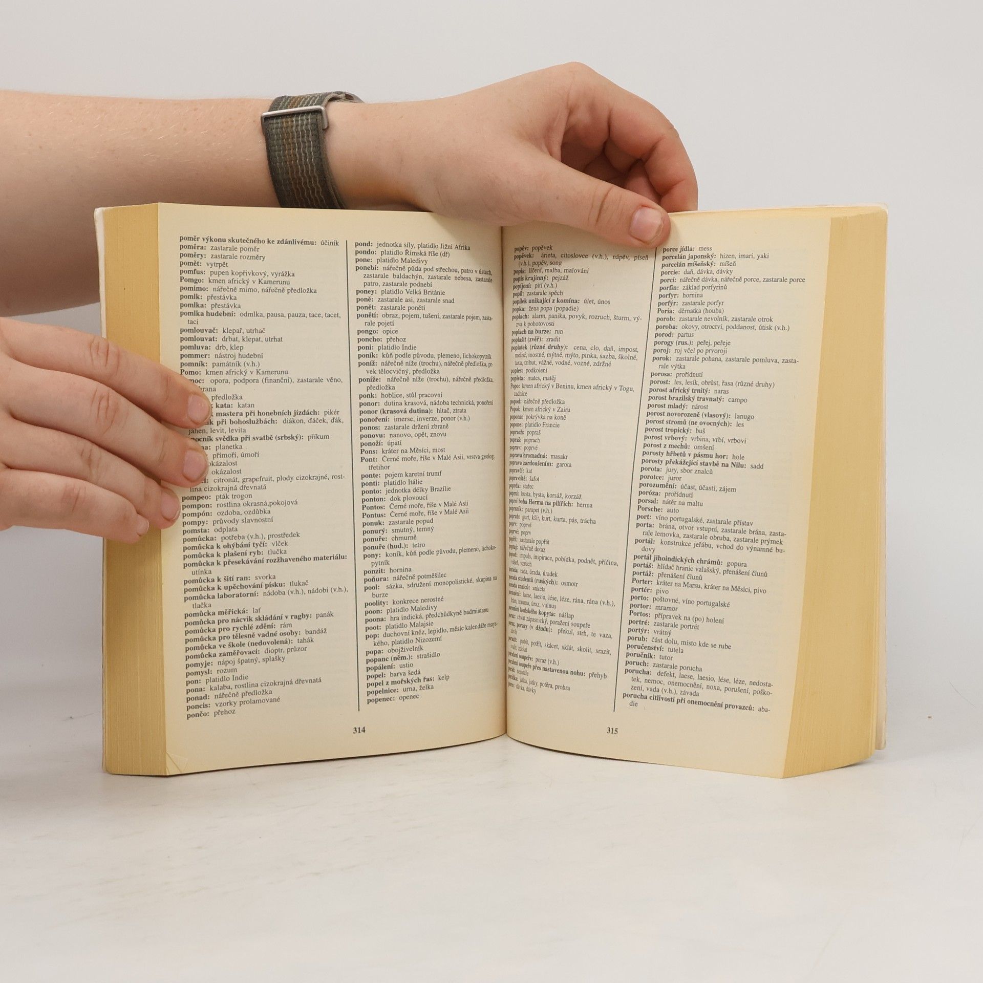 Autorenkollektiv Křížovkářský slovník