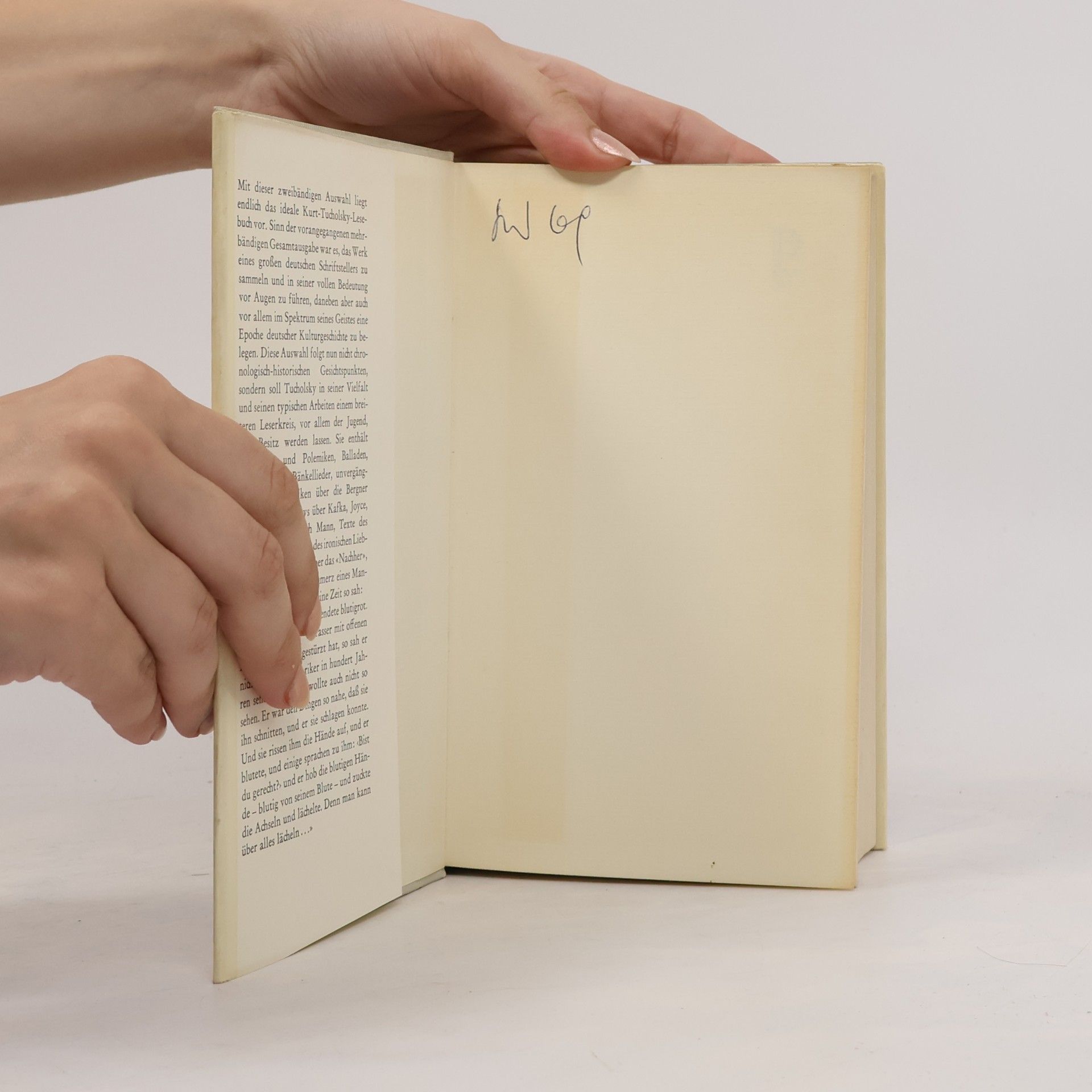 Kurt Tucholsky Ausgewählte Werke I.