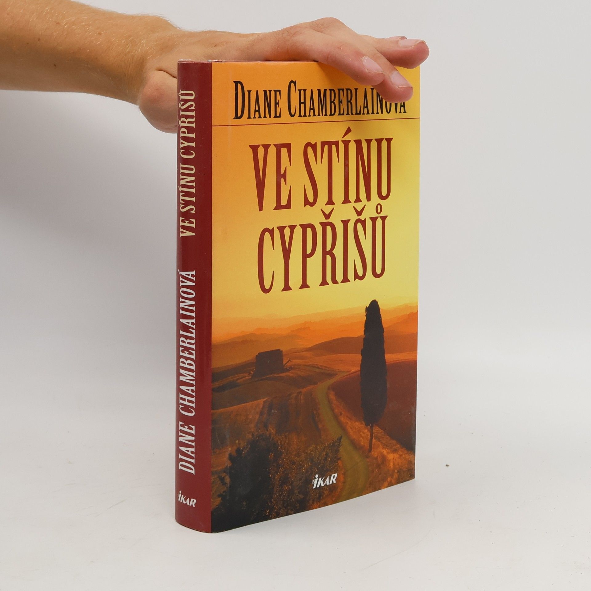Diane Chamberlain Ve stínu cypřišů