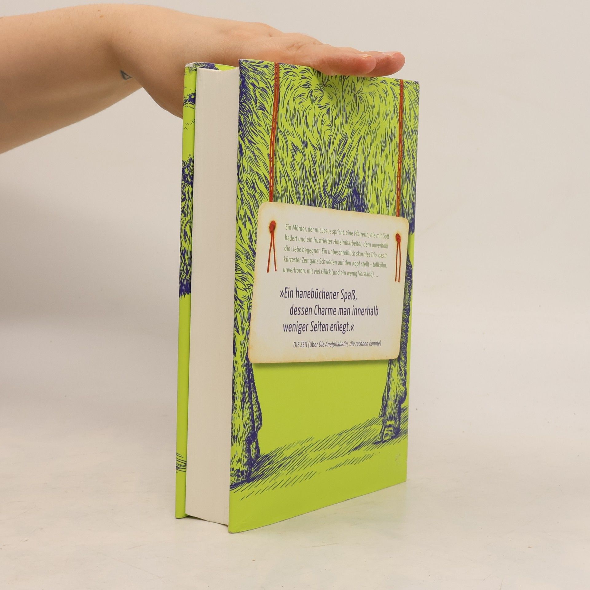 Jonas Jonasson Mörder Anders und seine Freunde nebst dem einen oder anderen Feind