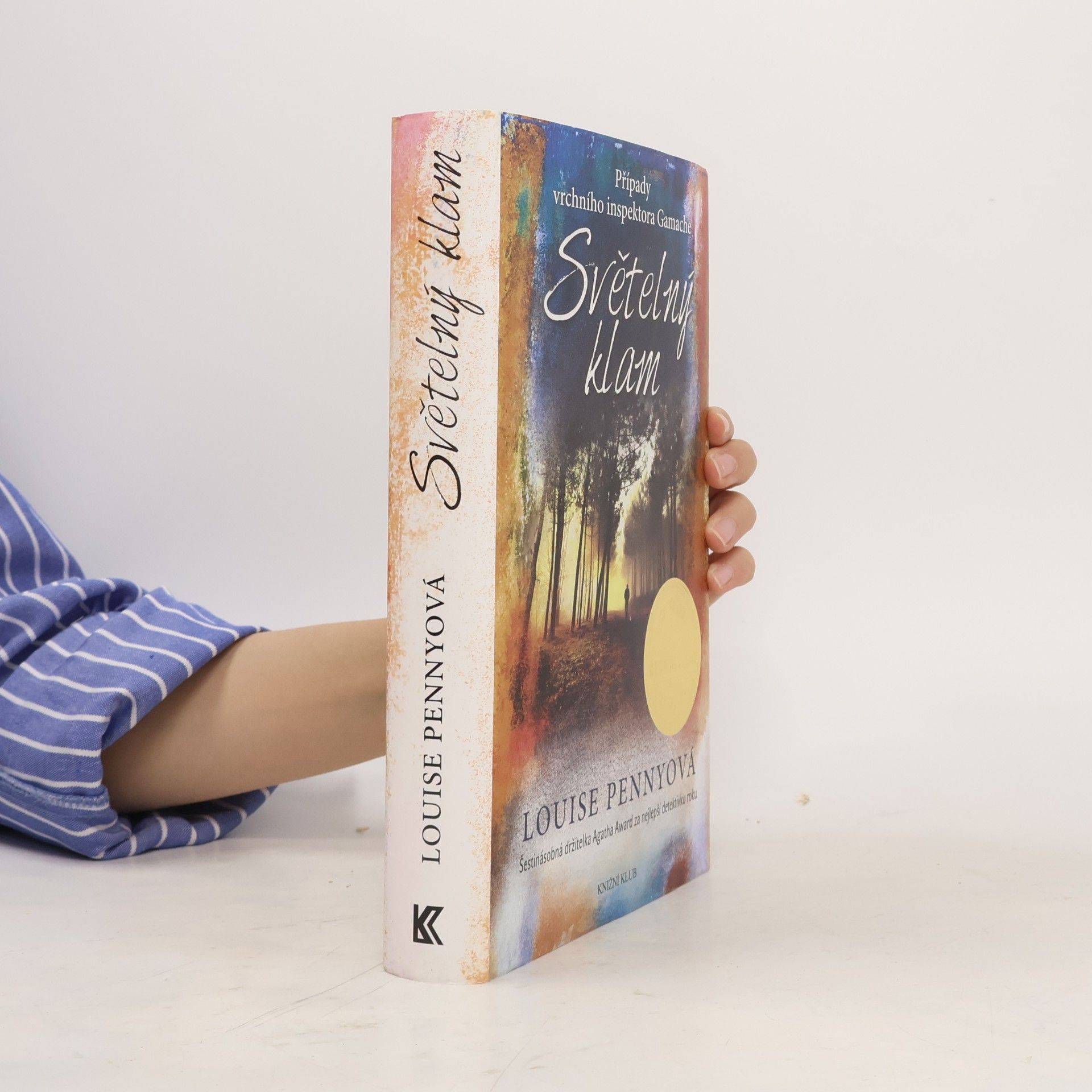 Louise Penny Světelný klam