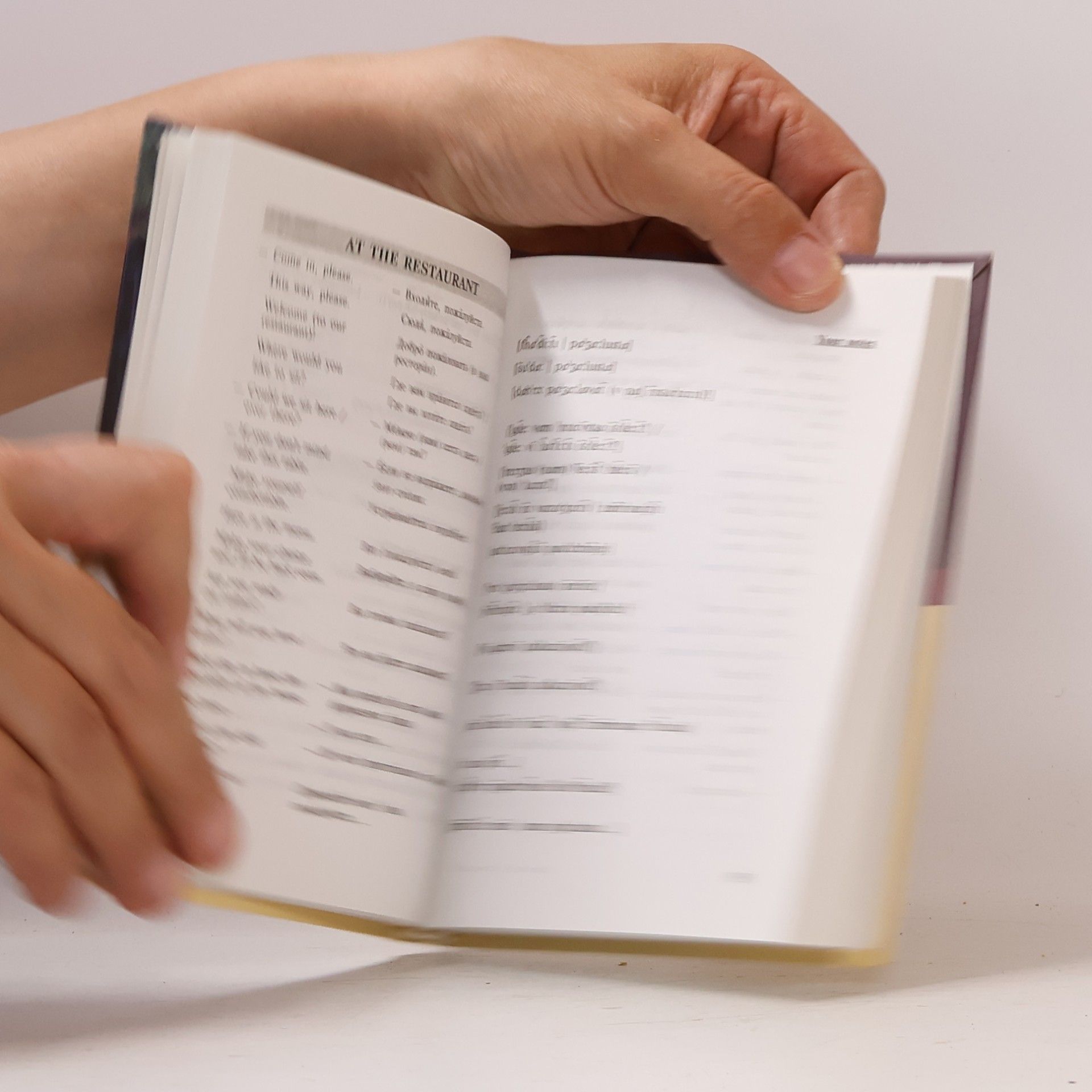 В.Ф. Шпаковский English-Russian Phrase-Book. Razgovornik dlya anglogovoryaschikh