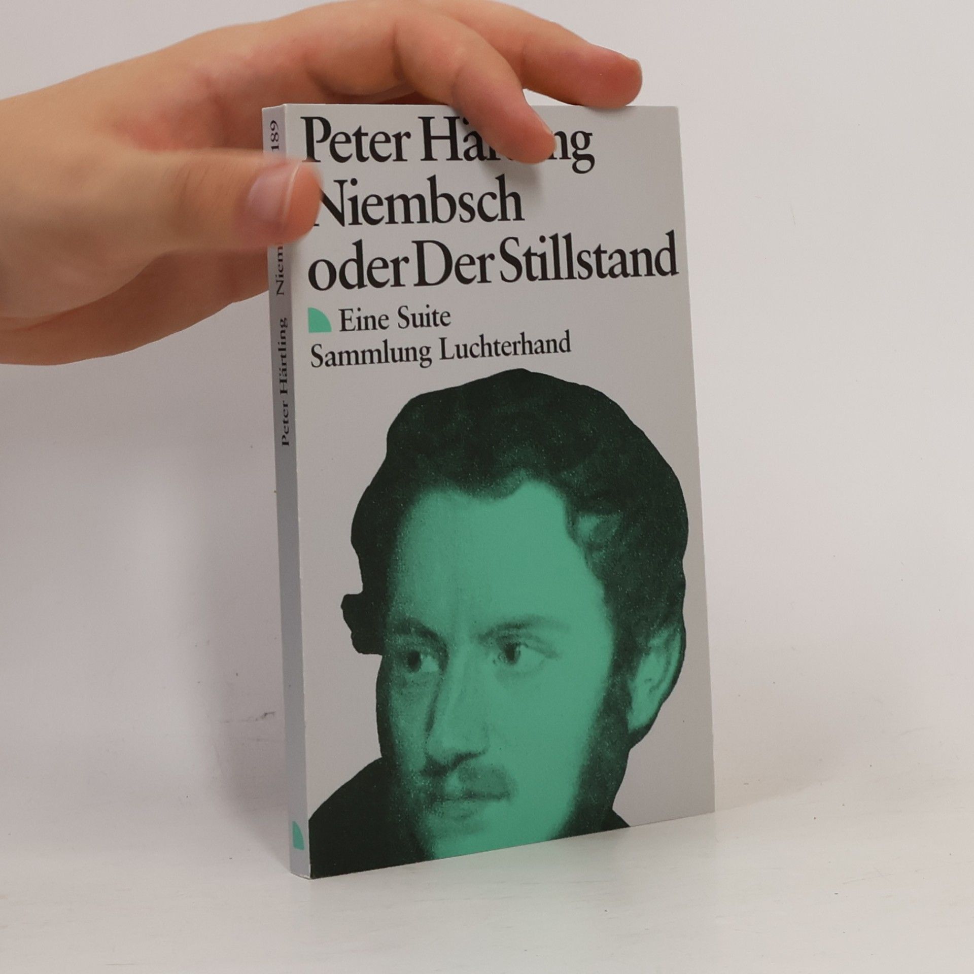 Peter Härtling Niembsch oder Der Stillstand