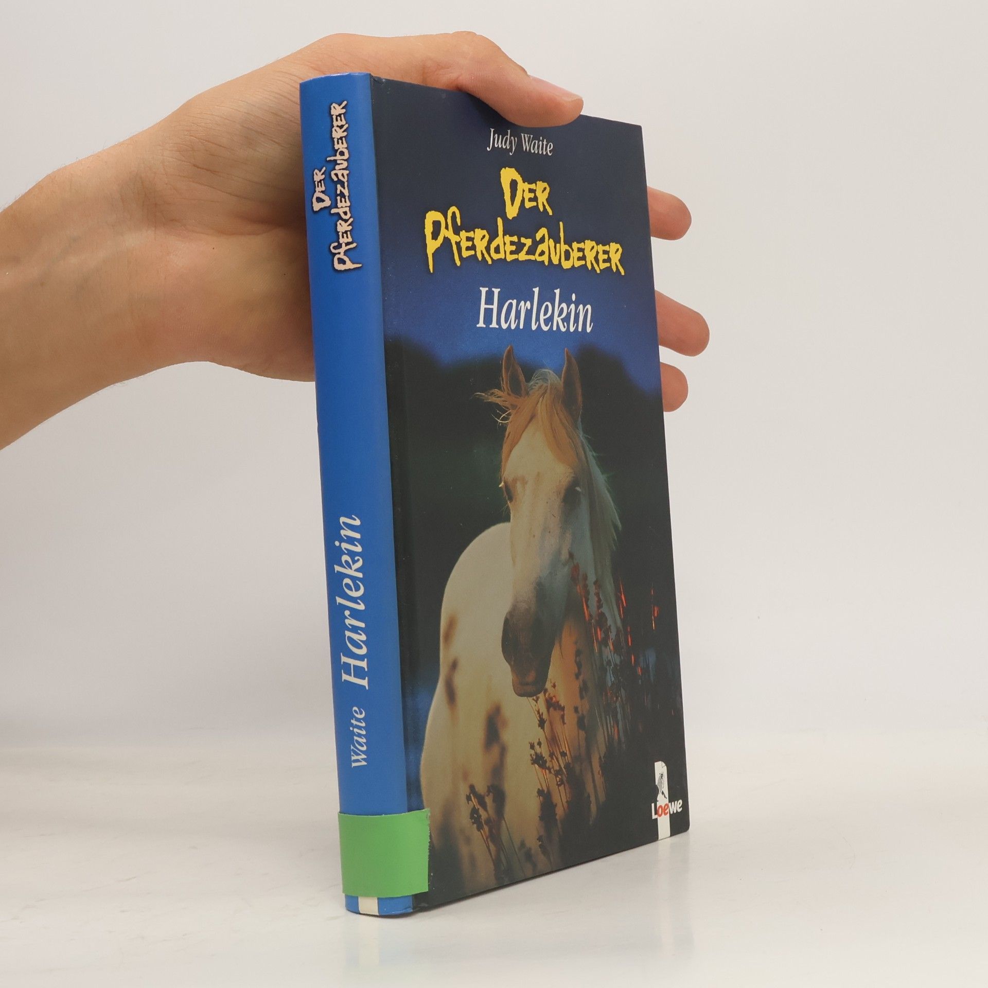 Judy Waite Der Pferdezauberer