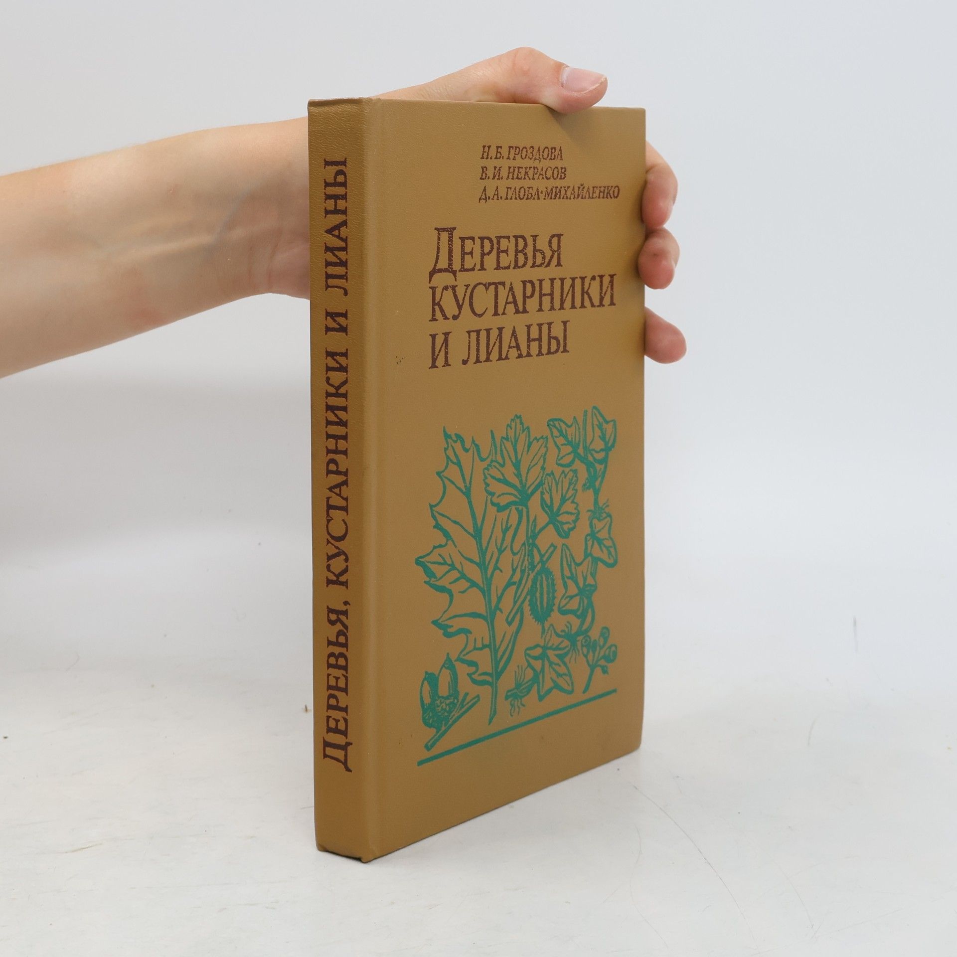 Autores varios Деревья, кустарники и лианы