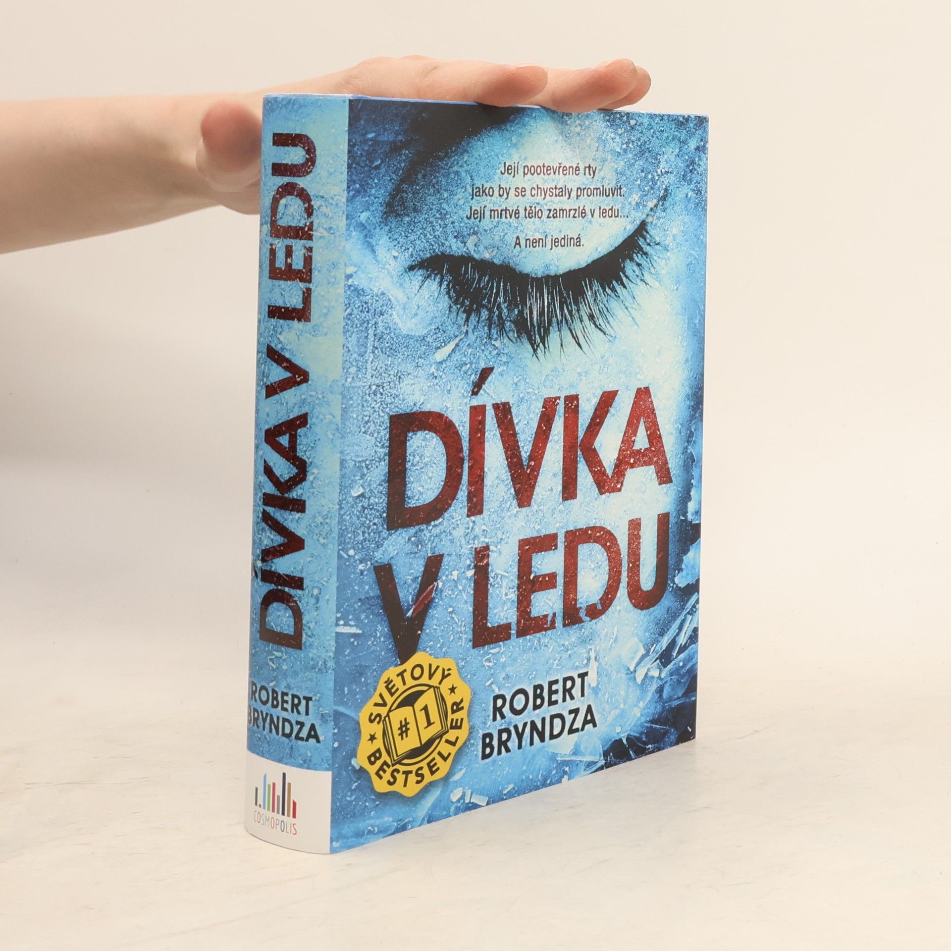 Robert Bryndza Dívka v ledu