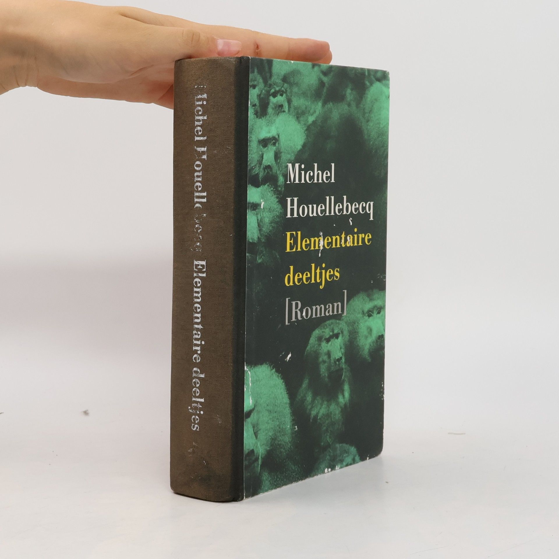 Michel Houellebecq Elementaire deeltjes