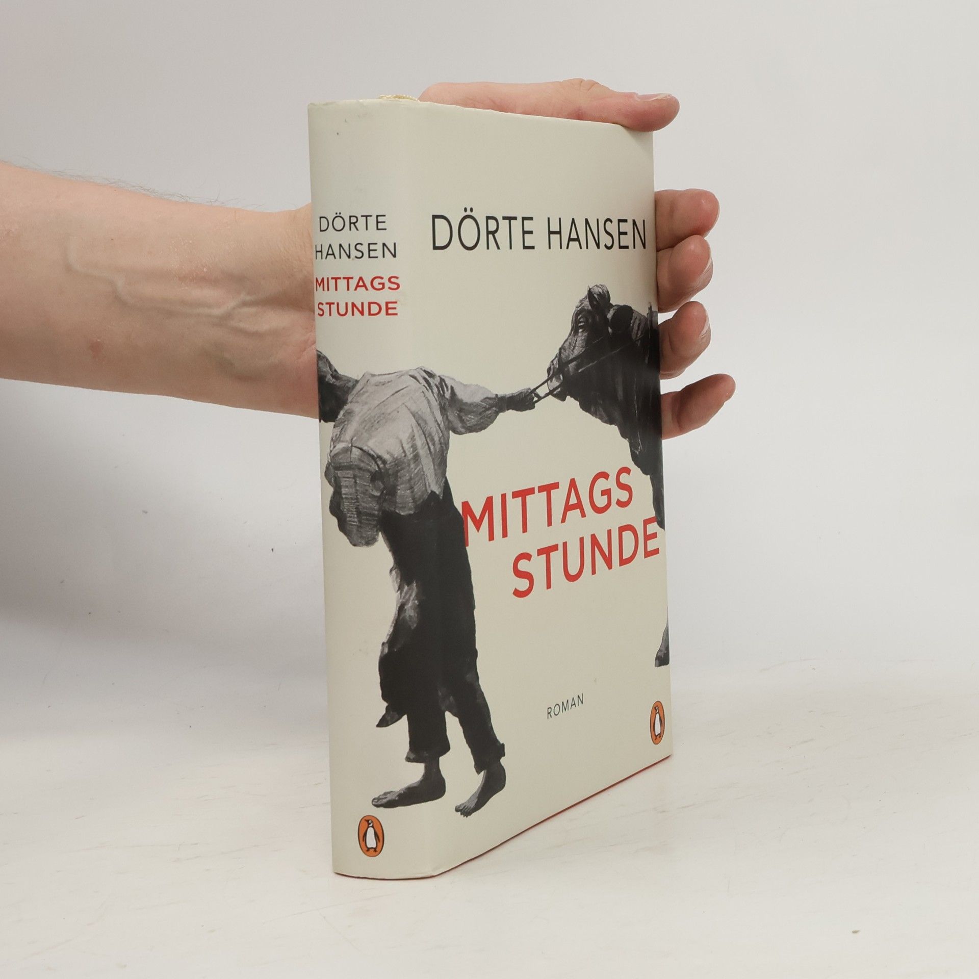 Dörte Hansen Mittagsstunde