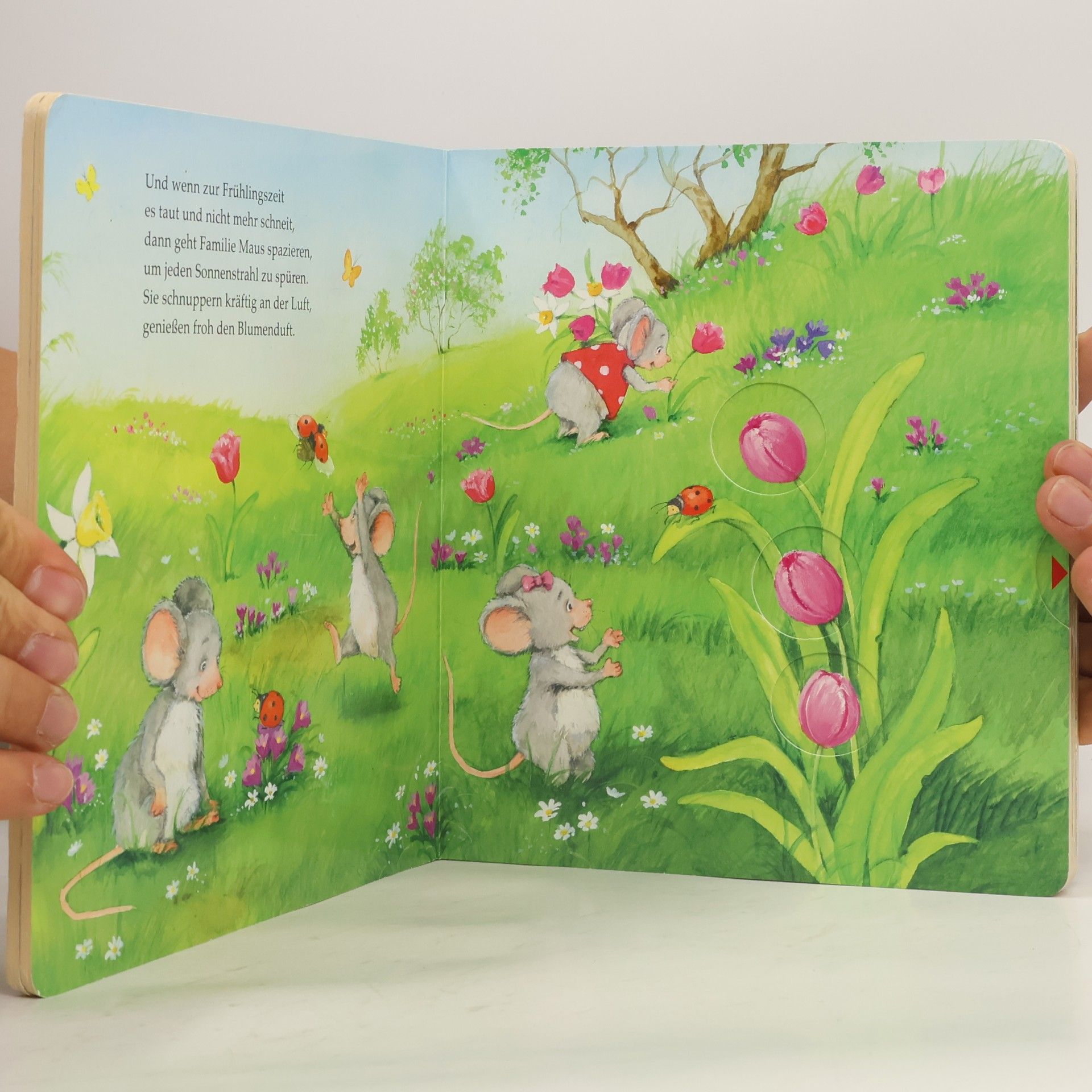 Hans-Christian Schmidt Familie Maus erlebt die Jahreszeiten