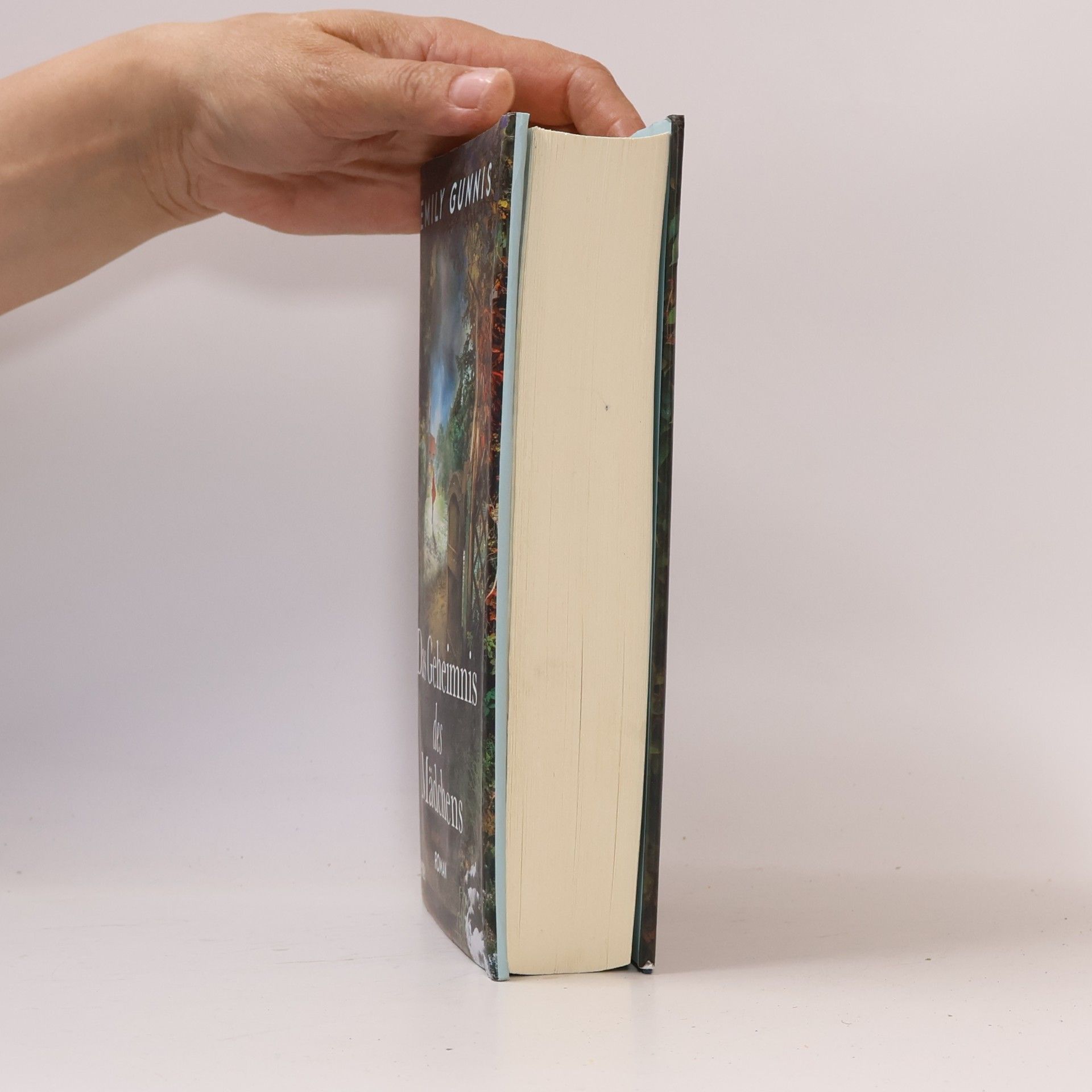Emily Gunnis Das Geheimnis des Mädchens