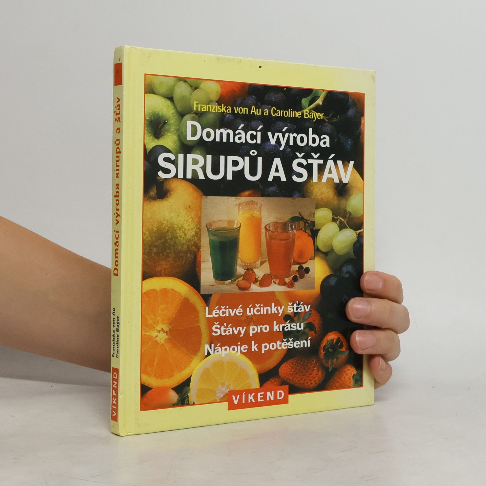 Caroline Bayer Domácí výroba sirupů a šťáv