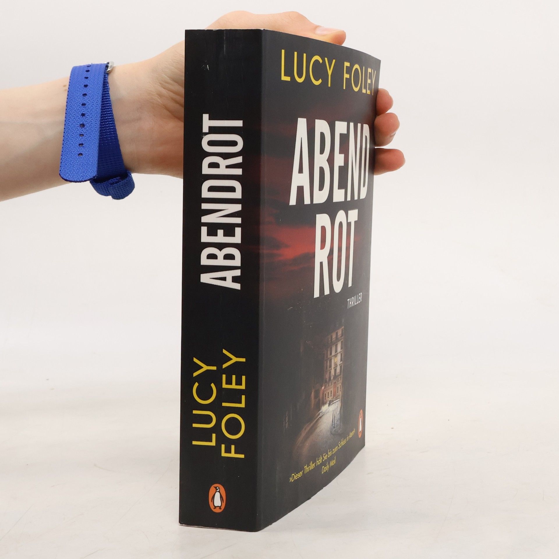 Lucy Foley Abendrot