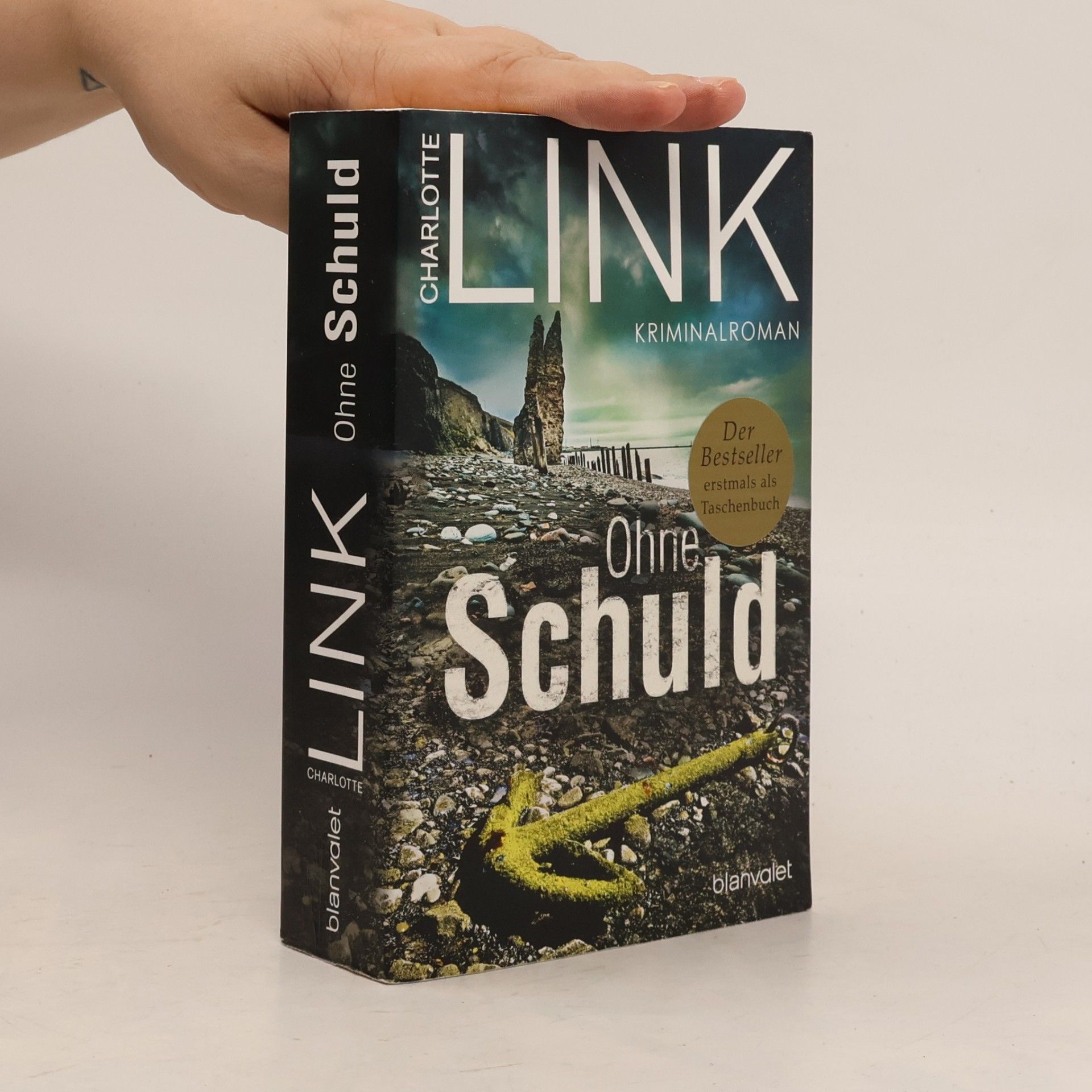 Charlotte Link Ohne Schuld
