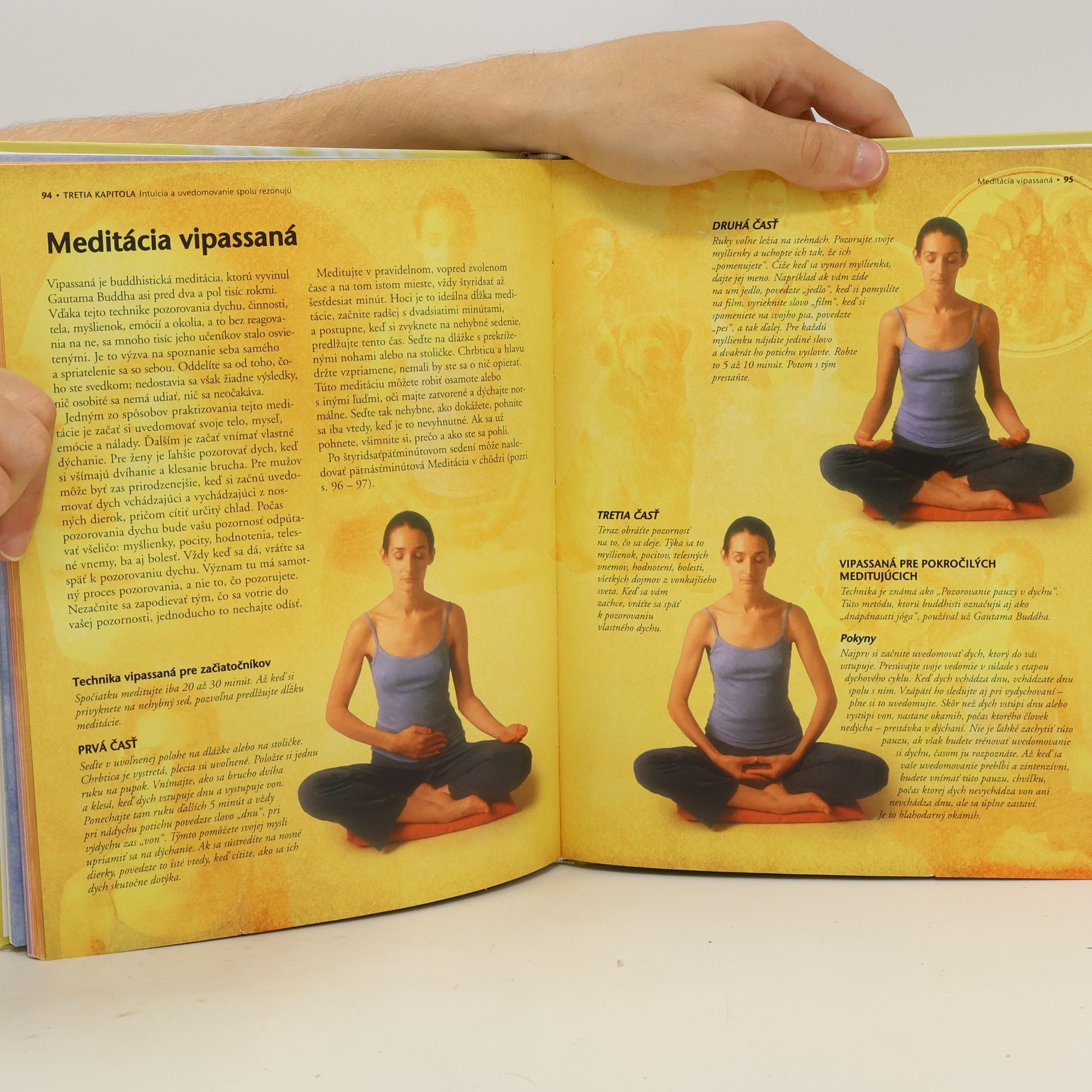Tanmaya Honervogt Vnútorné reiki
