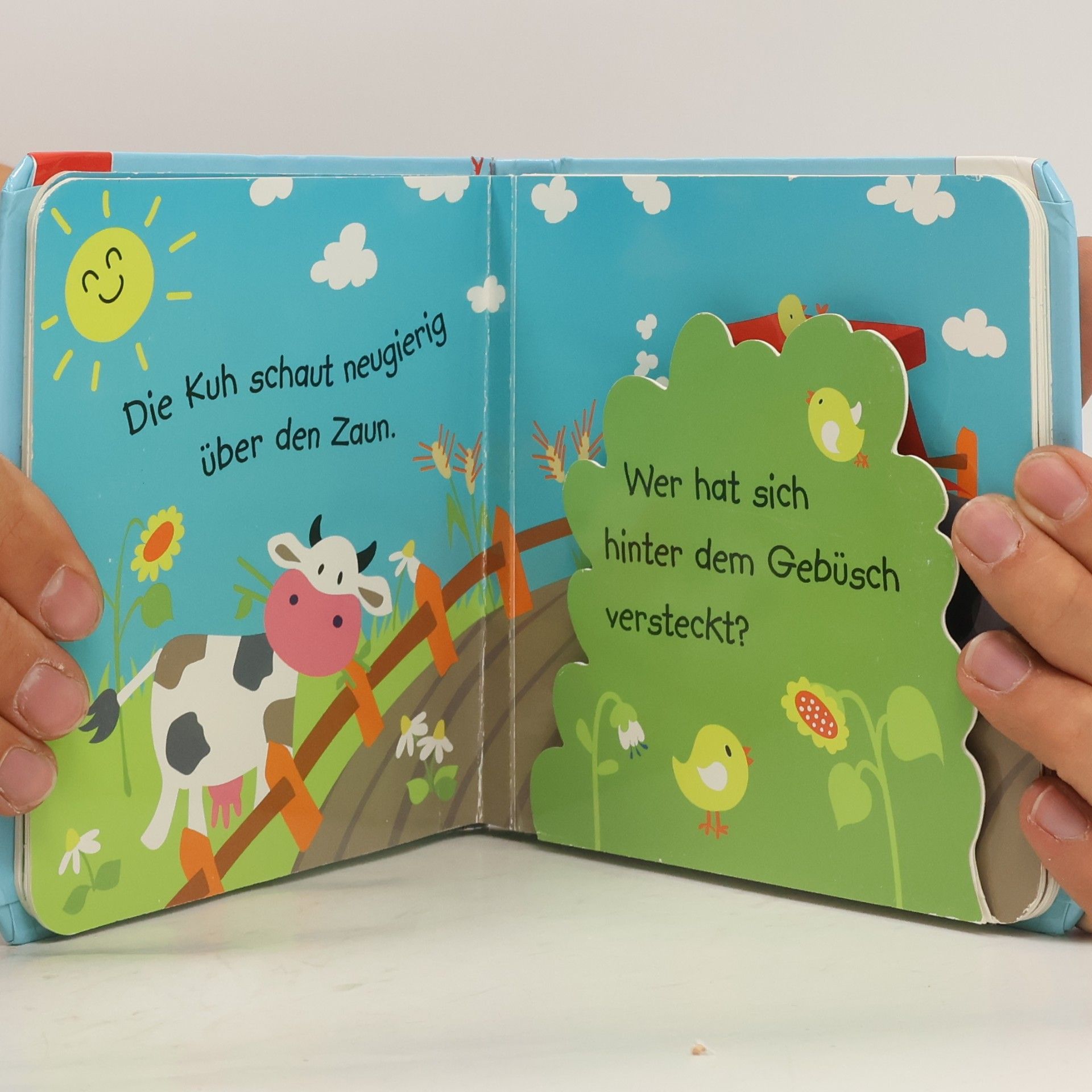 Kolektiv autorů Meine Fahrzeuge