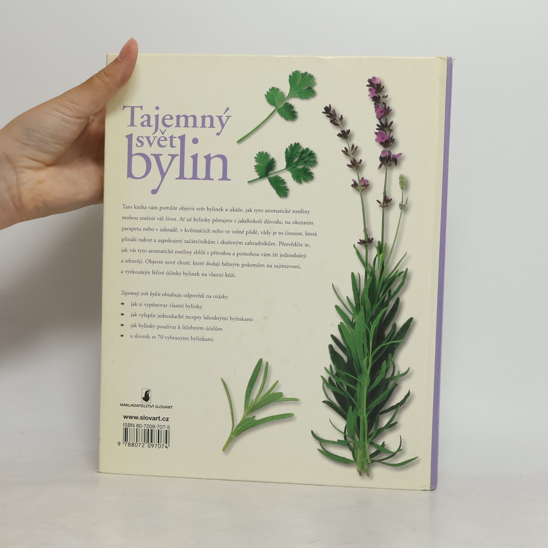 Jennie Harding Tajemný svět bylin: Užitečný rádce pro pěstování a používání bylinek