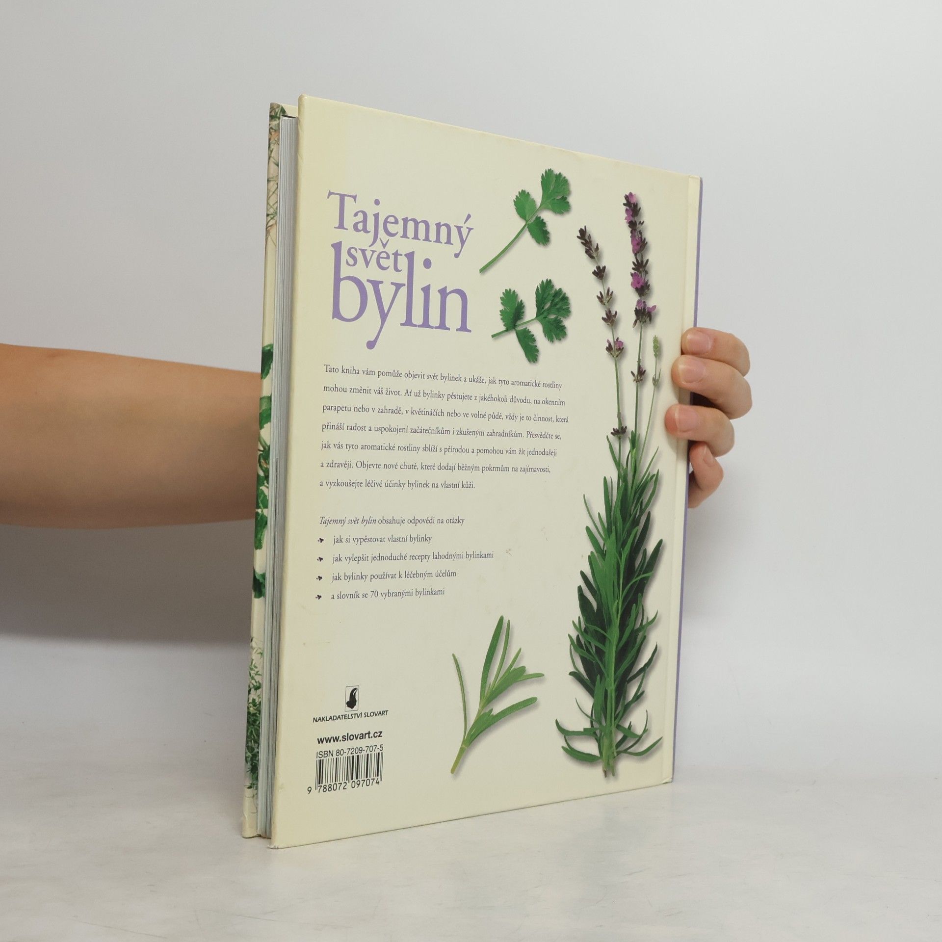 Jennie Harding Tajemný svět bylin: Užitečný rádce pro pěstování a používání bylinek